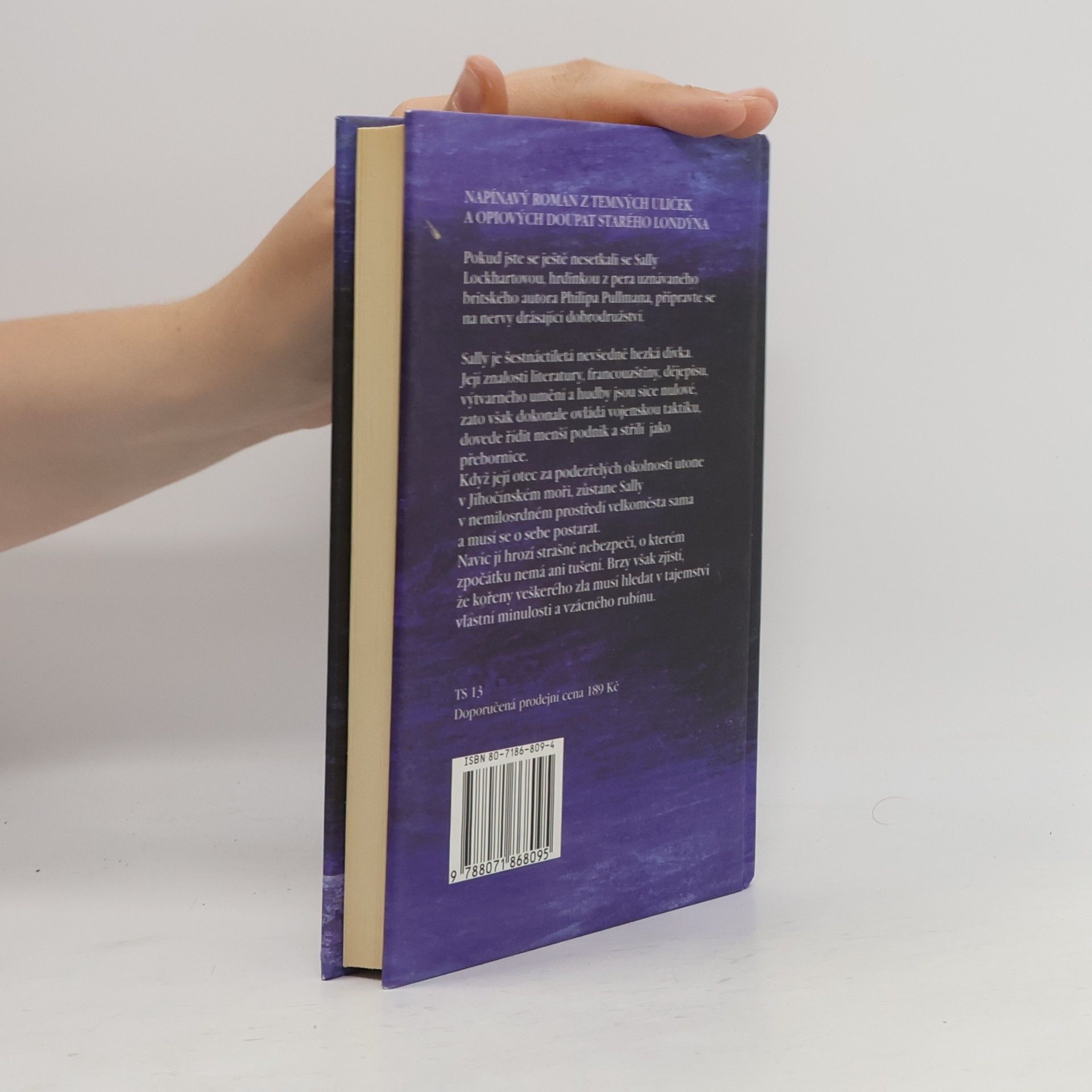 Philip Pullman Rubín v kouři