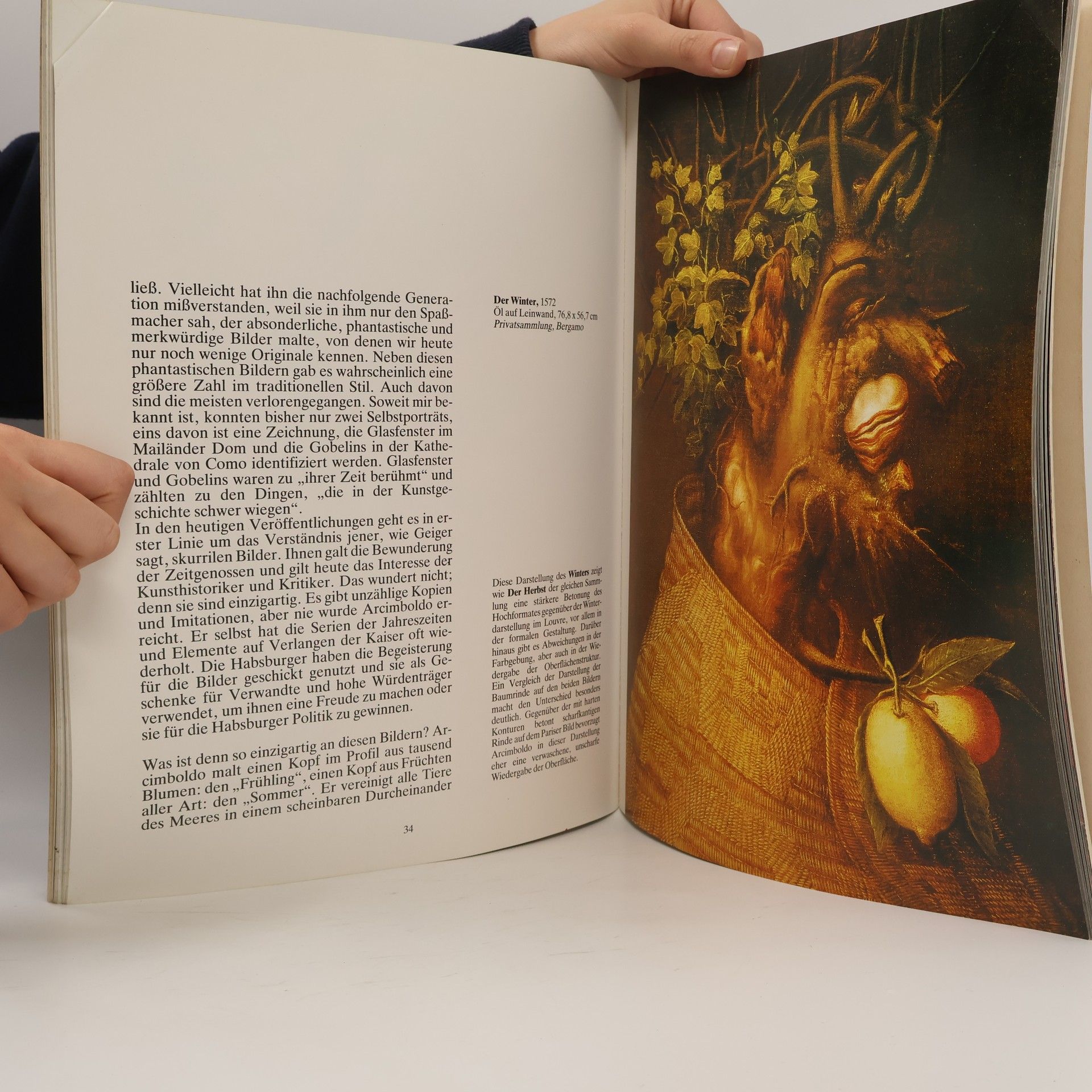 Werner Kriegeskorte Giuseppe Arcimboldo