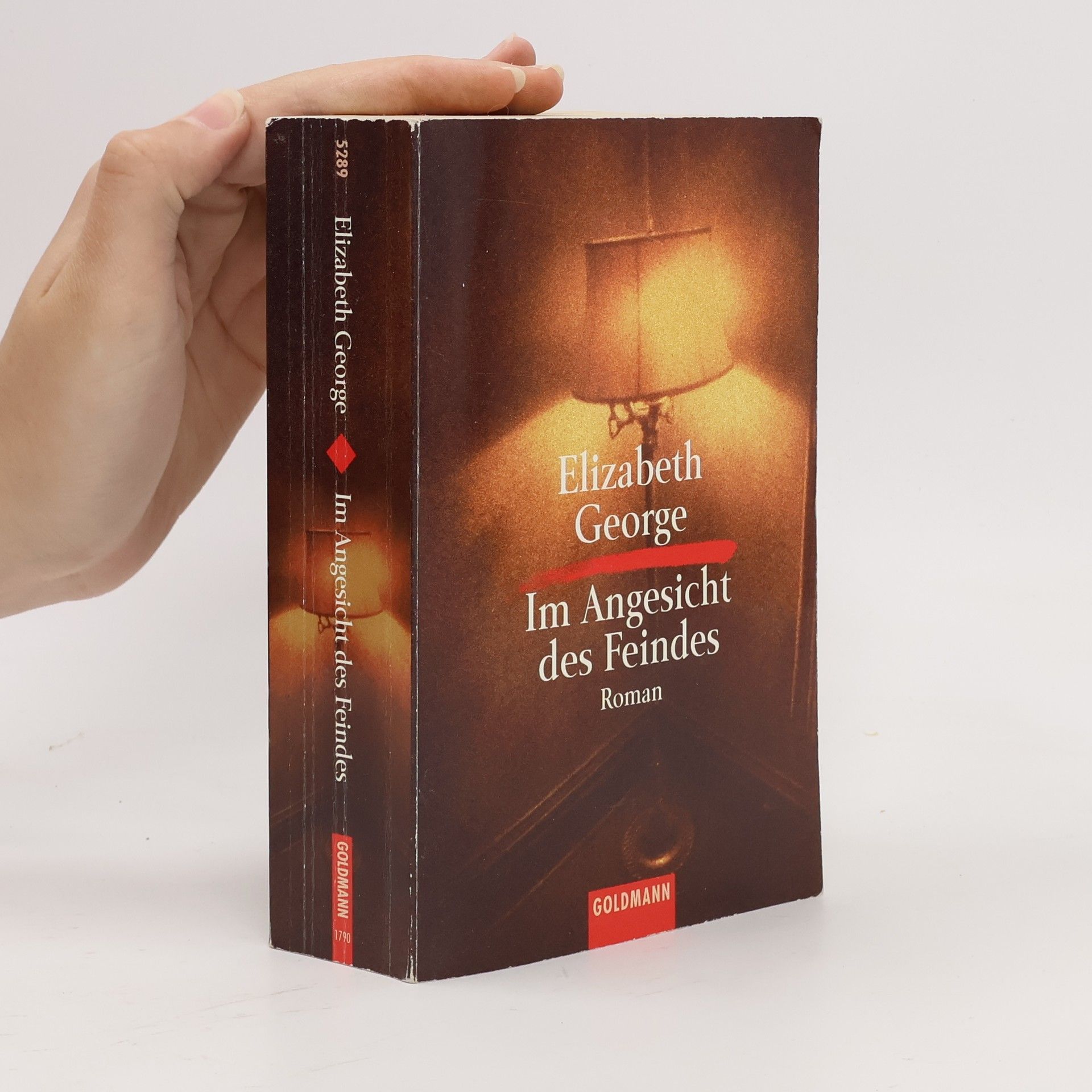 Elizabeth George Im Angesicht des Feindes