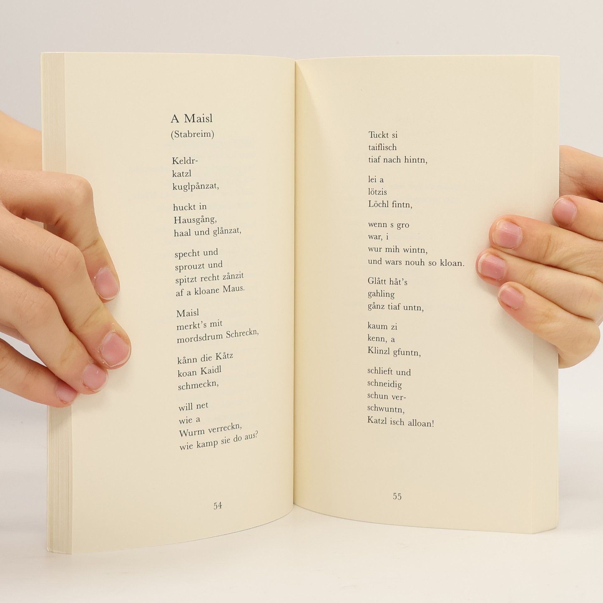 Hans Fink Gedichte. Mundart-Gedichte. Haiku-Gedichte