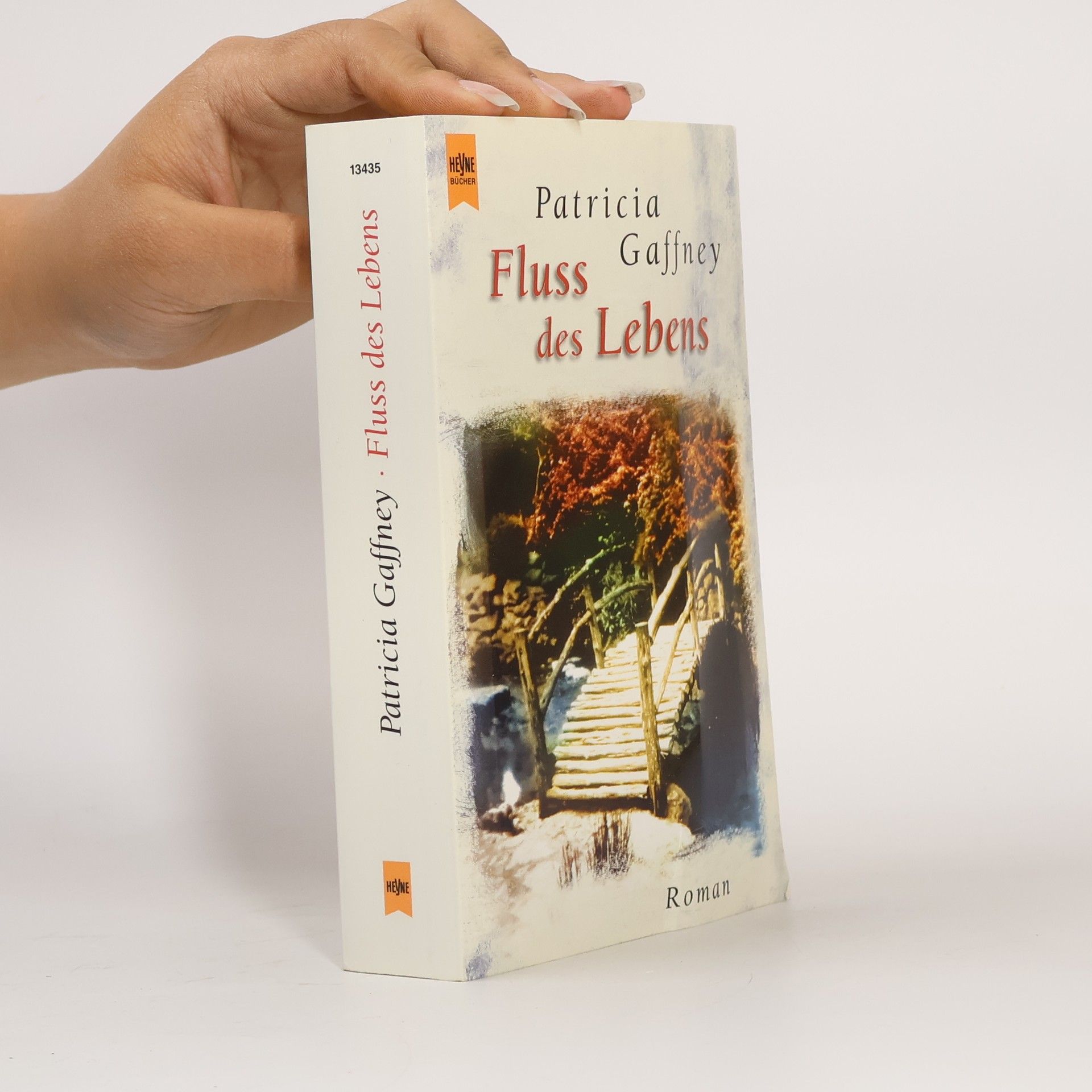 Patricia Gaffney Fluss des Lebens