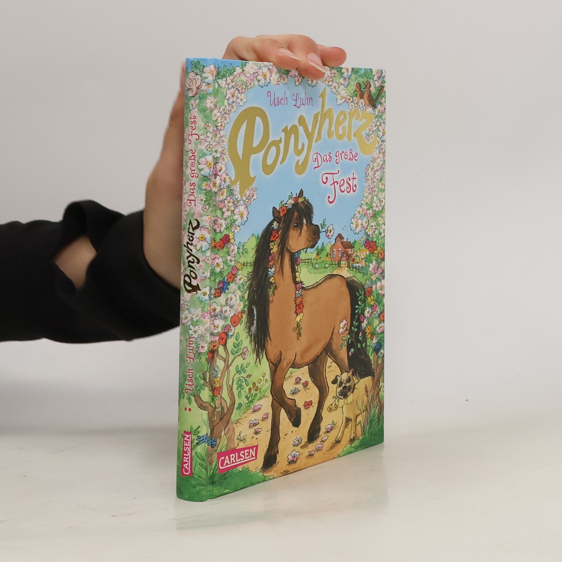 Usch Luhn Ponyherz 20: Das große Fest