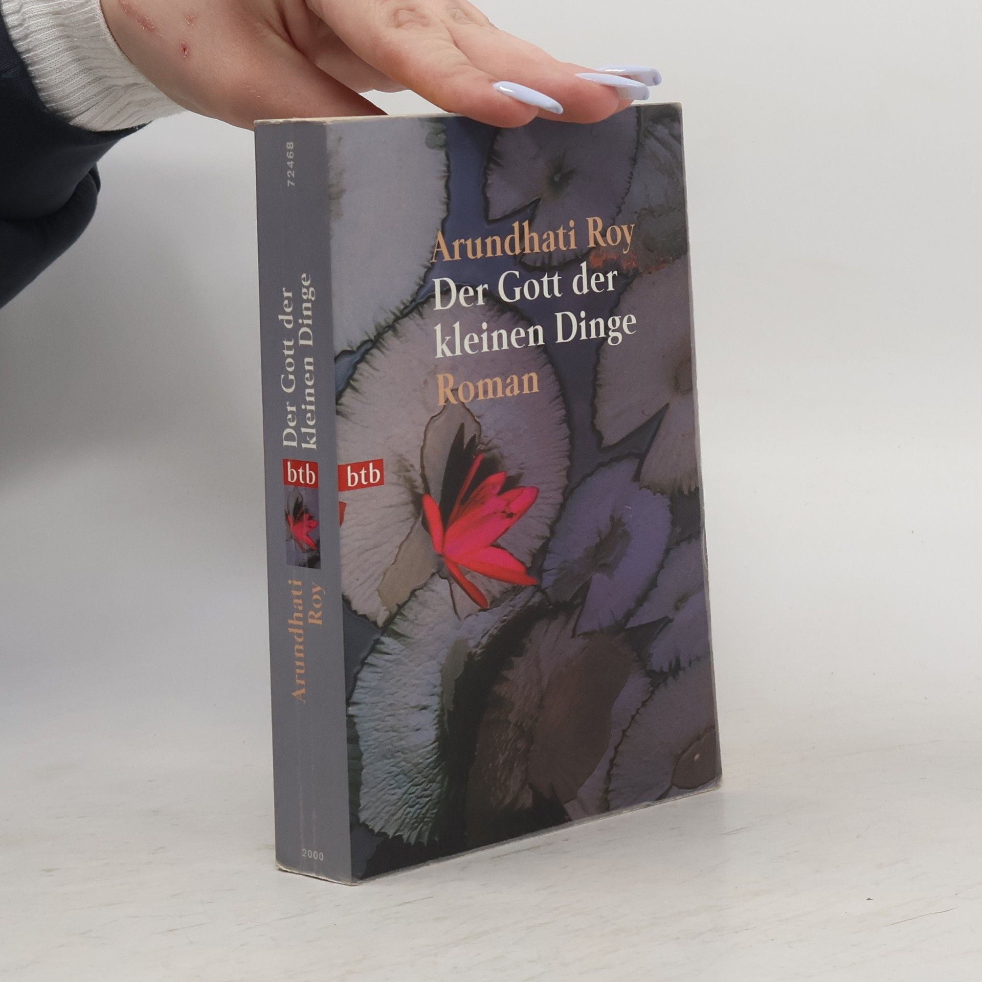 Arundhatí Roy Der Gott der kleinen Dinge