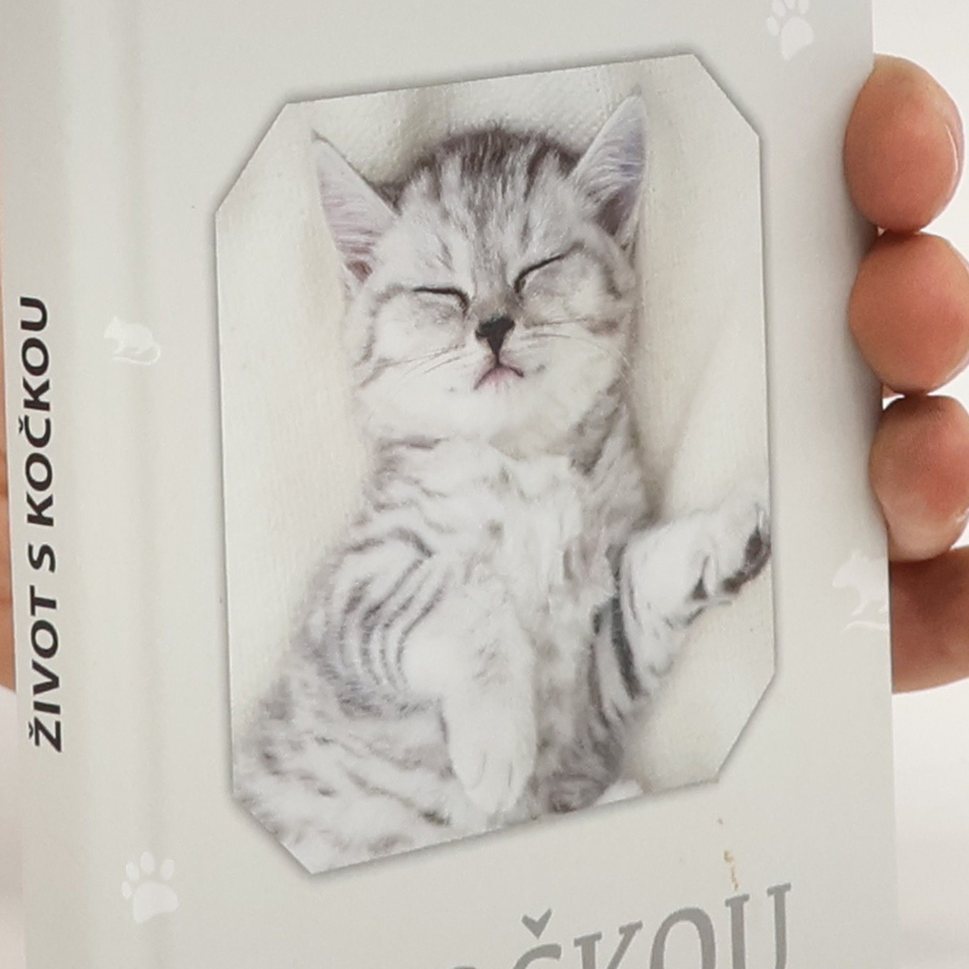 Kolektiv autorů Život s kočkou