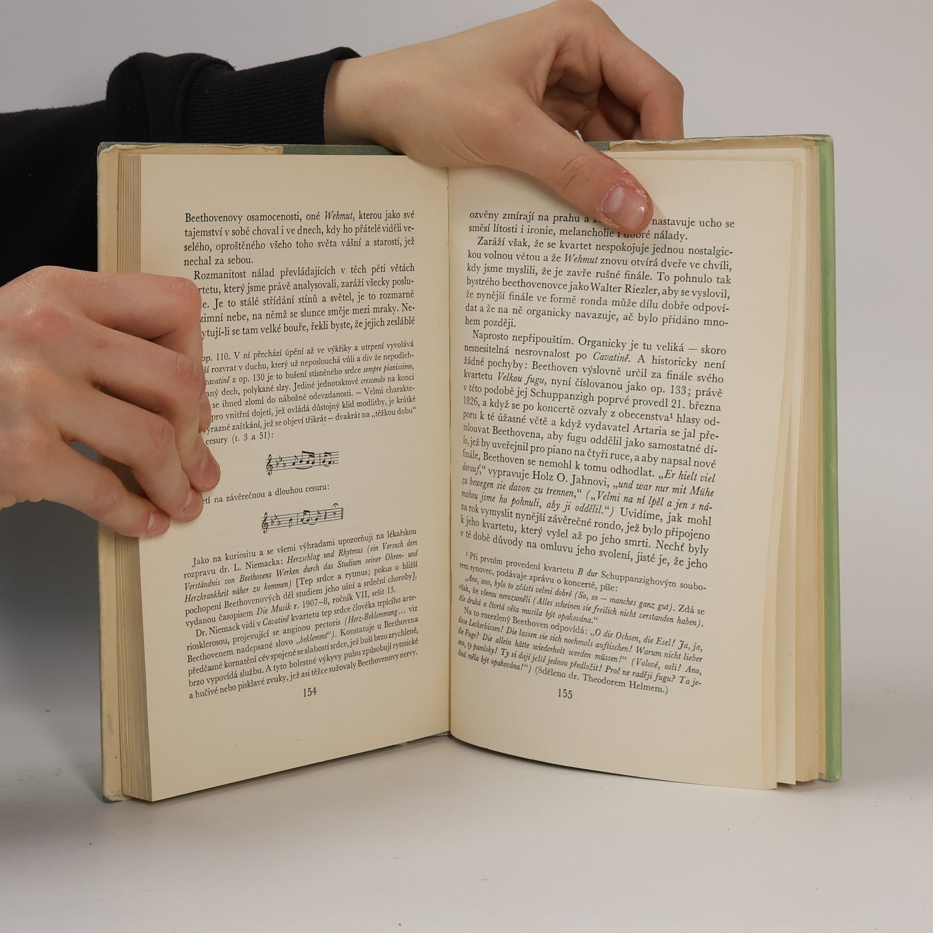 Romain Rolland Beethoven IV. Velká tvůrčí období. Nedokončená katedrála II. Poslední kvartety