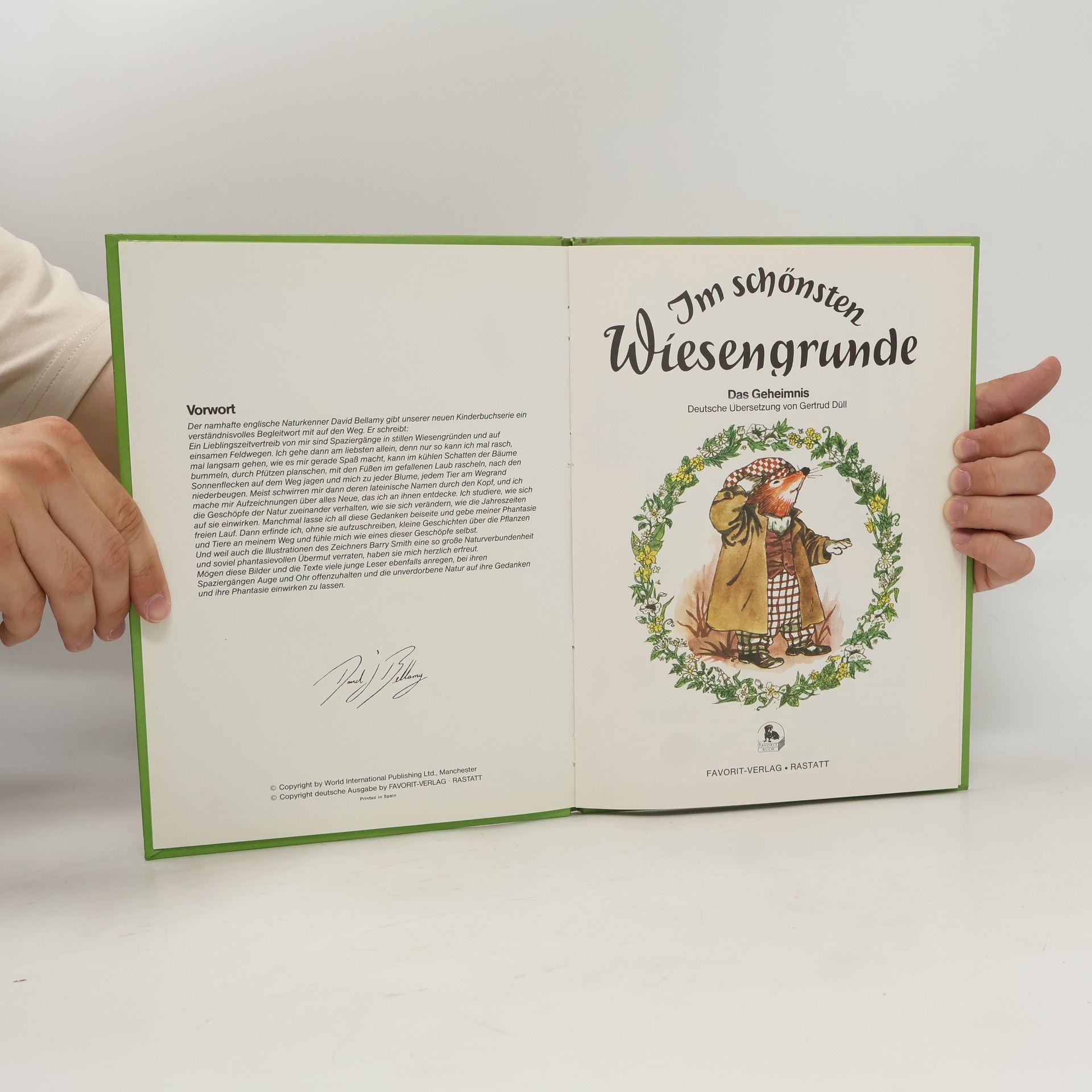 Gertrud Düll Im schönsten Wiesengrunde