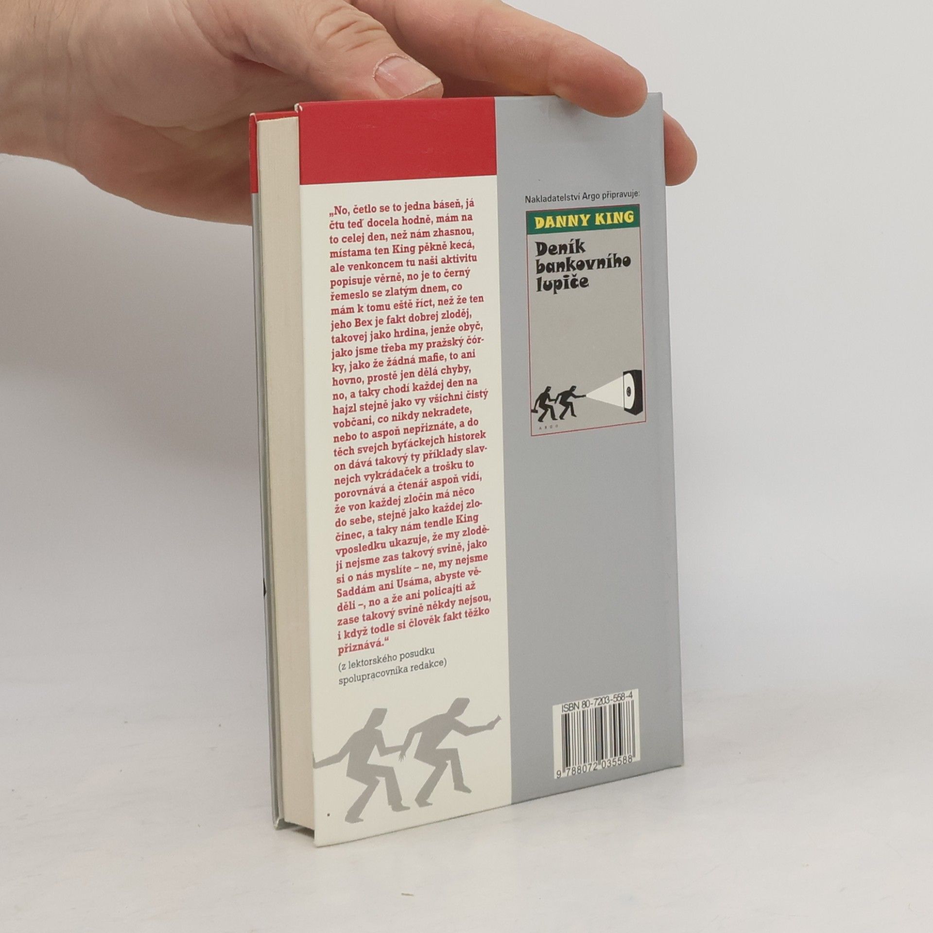 Danny King Deník zloděje