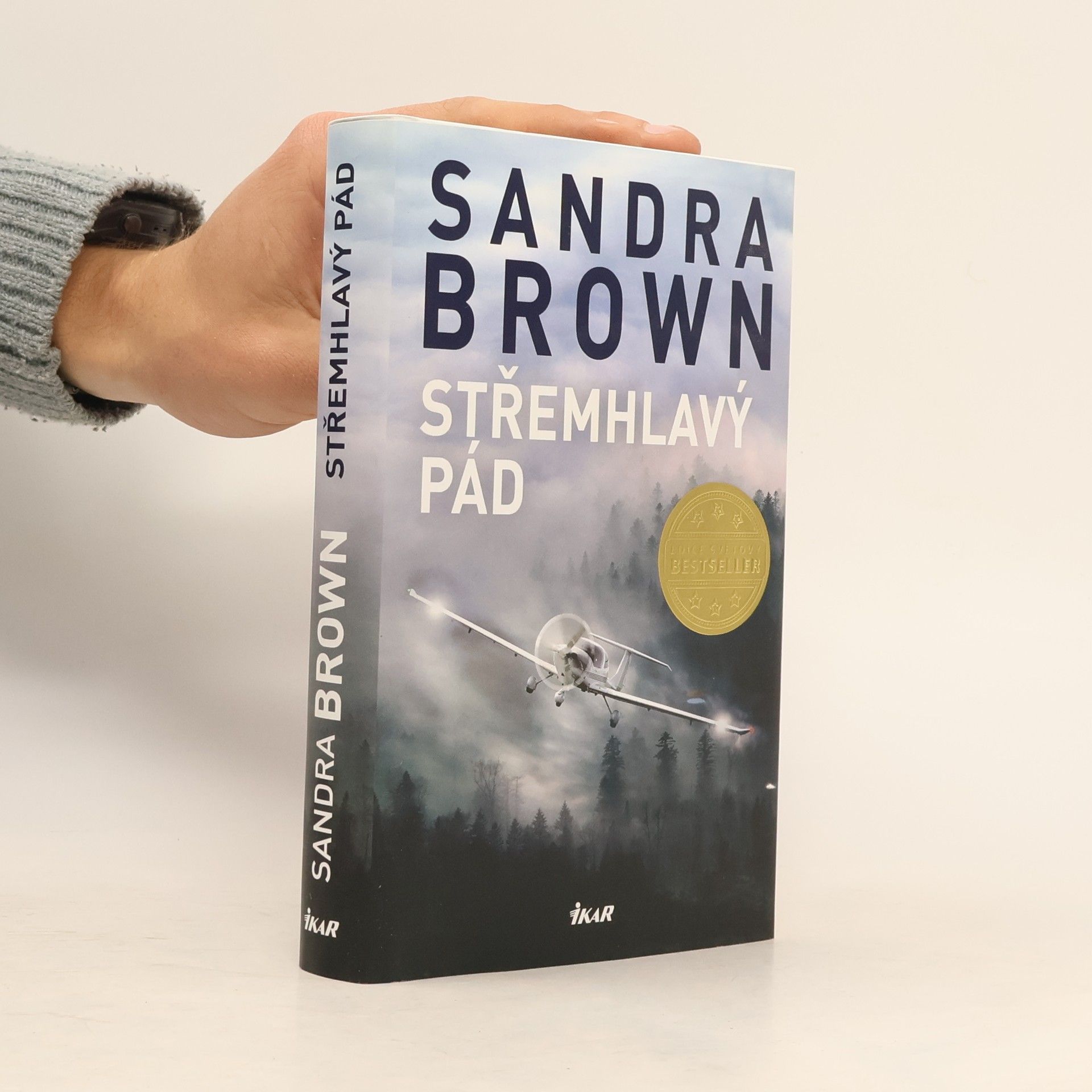 Sandra Brown Střemhlavý pád