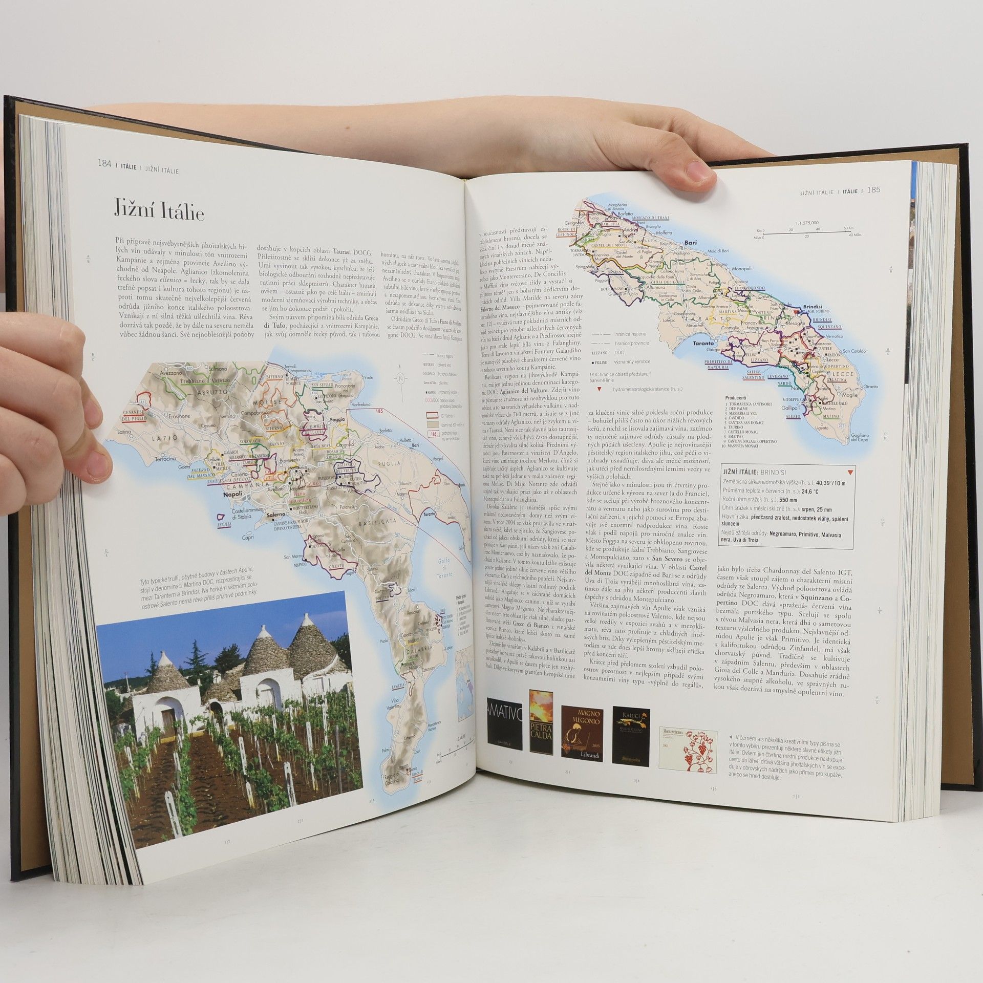 Hugh Johnson Světový atlas vína