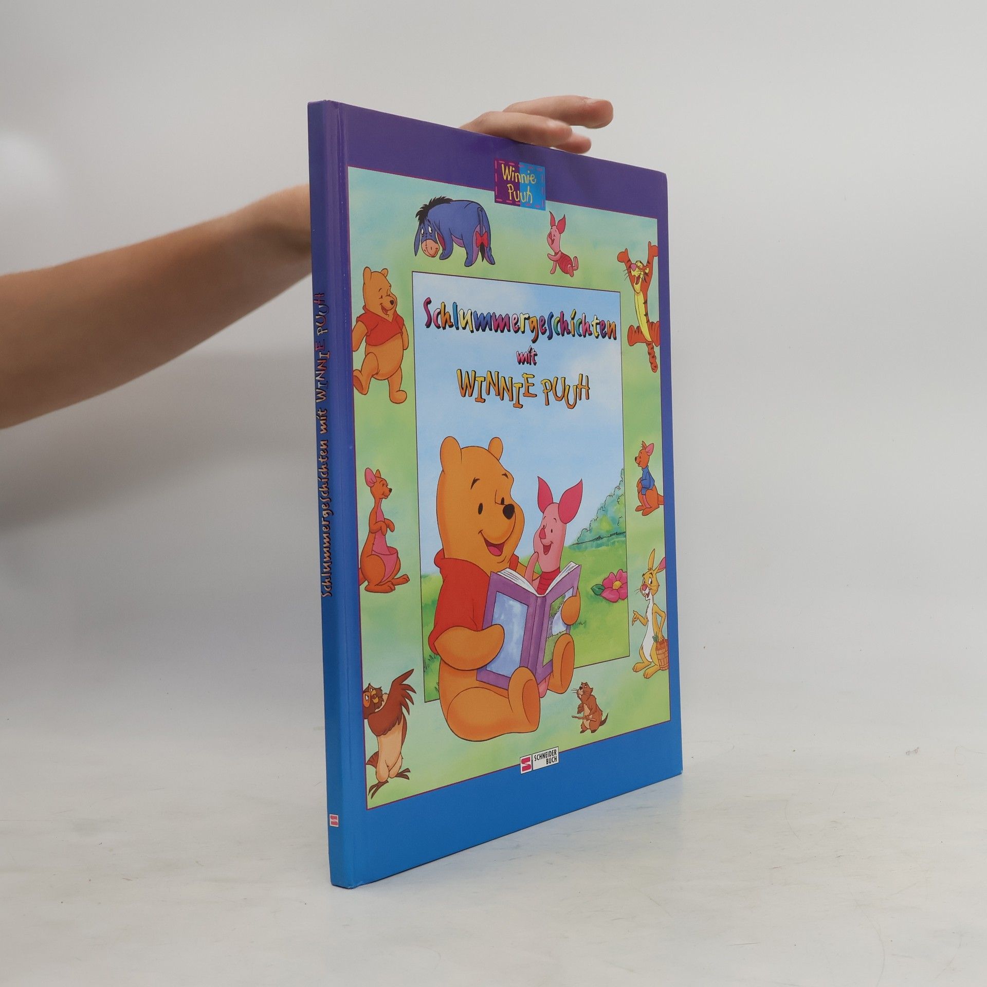 Michael Czernich Schlummergeschichten mit Winnie Puuh