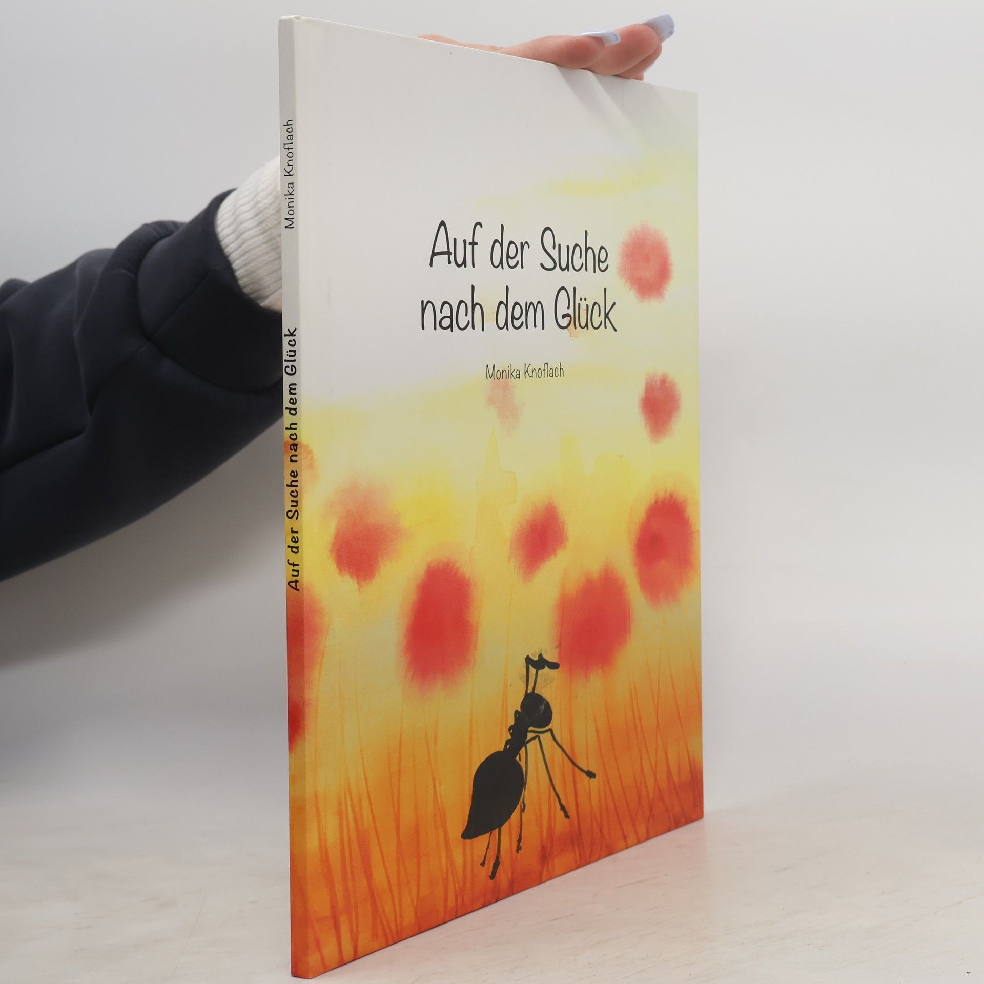 Monika Knoflach Auf der Suche nach dem Glück