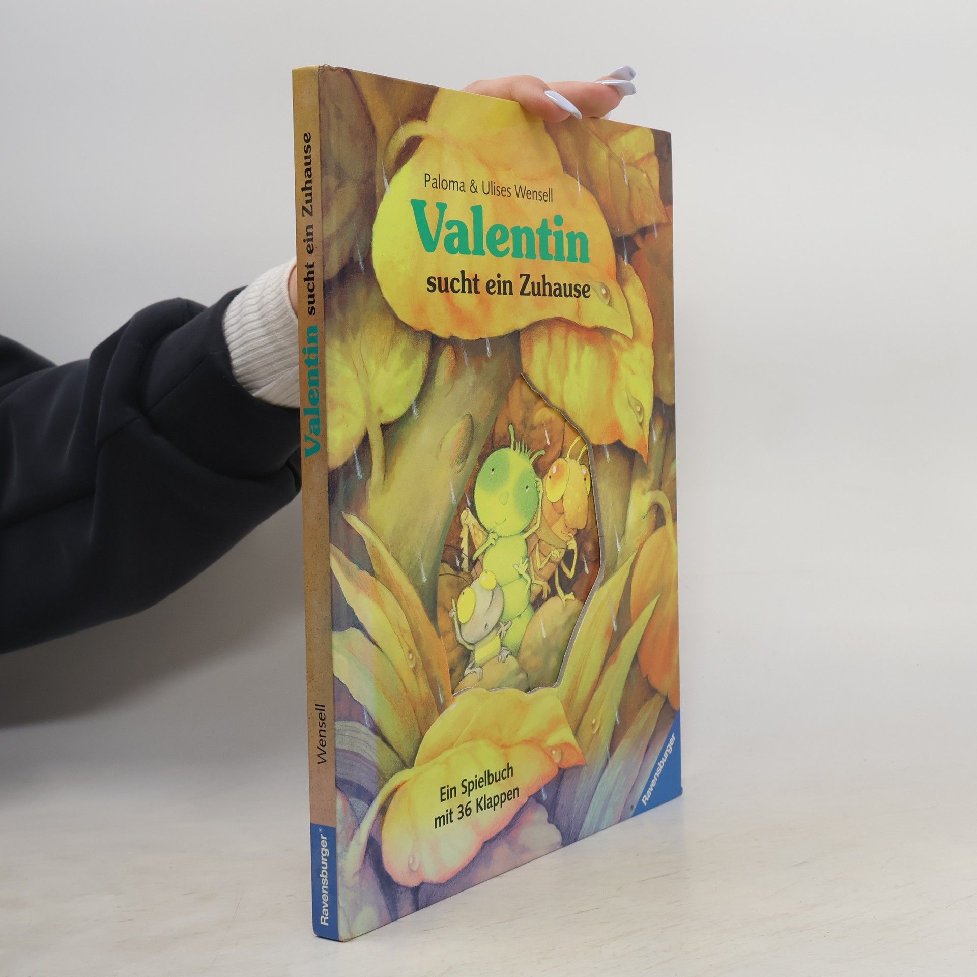 Paloma Wensell Valentin sucht ein Zuhause. Ein Spielbuch mit 36 Klappen