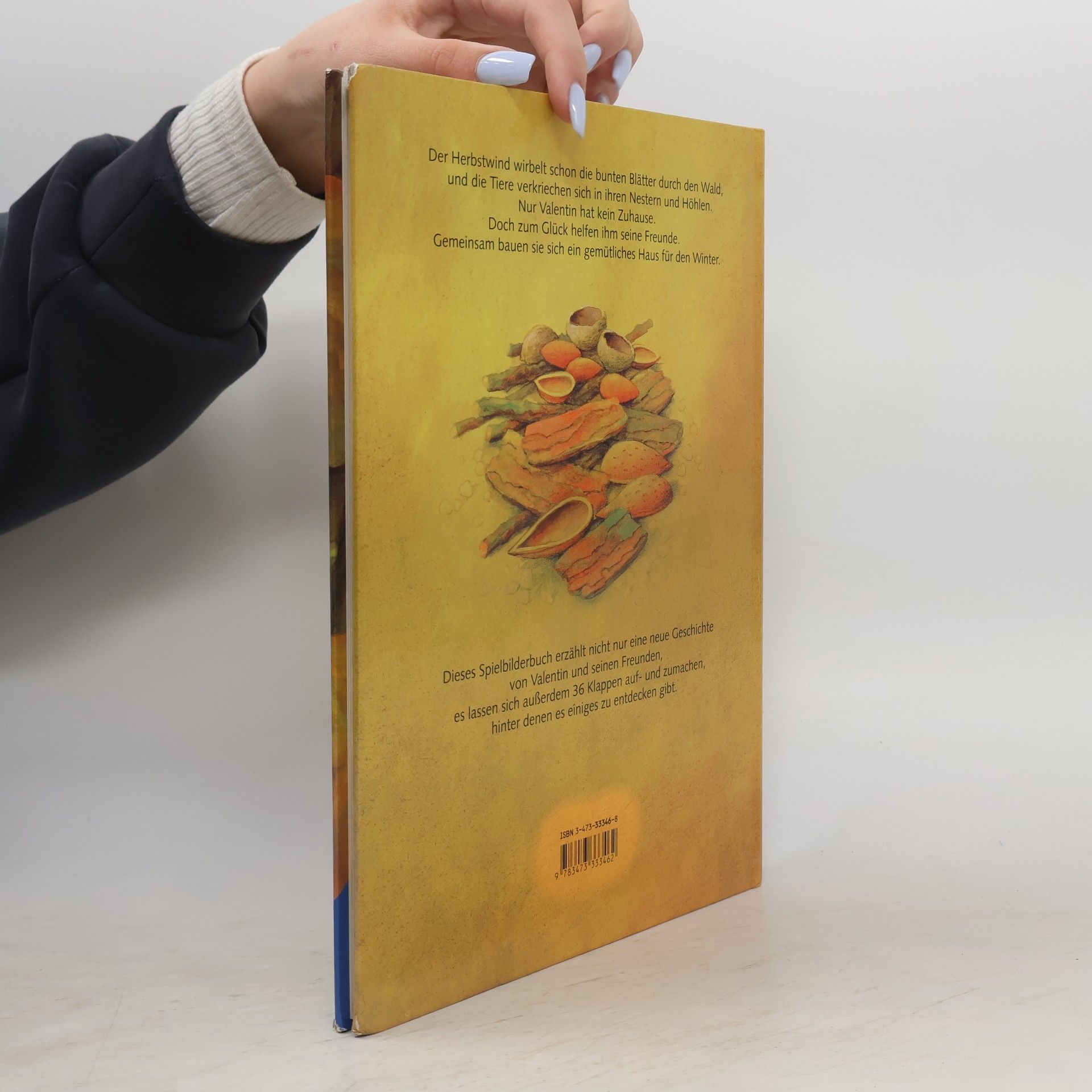Paloma Wensell Valentin sucht ein Zuhause. Ein Spielbuch mit 36 Klappen