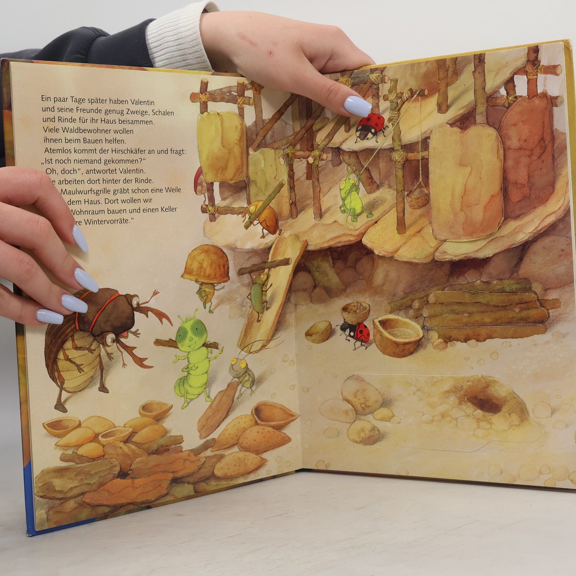 Paloma Wensell Valentin sucht ein Zuhause. Ein Spielbuch mit 36 Klappen