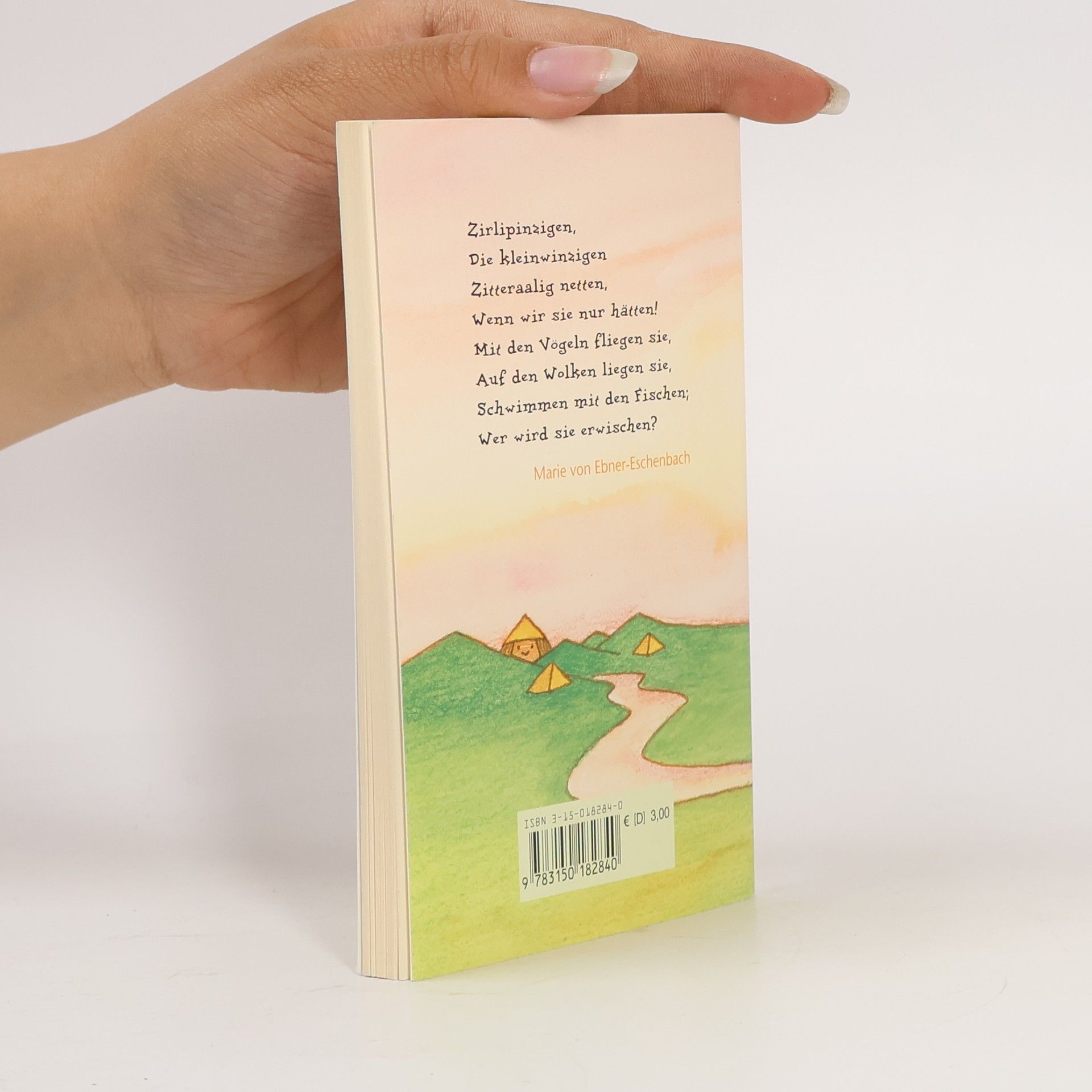 Ursula Remmers Reclams Universal-Bibliothek: Ins Land der Fantasie