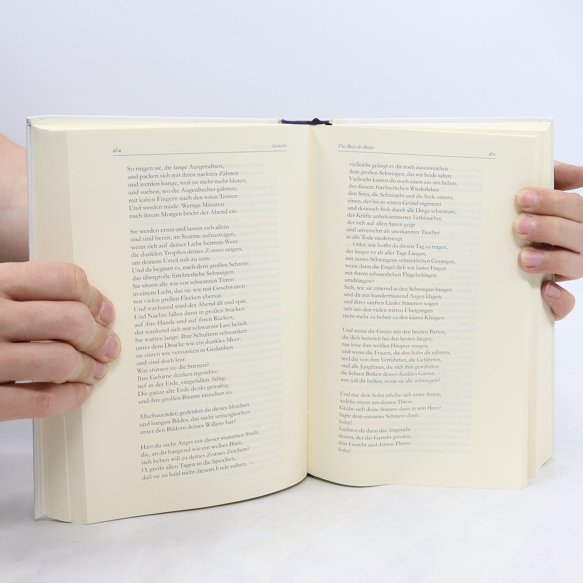Rainer Maria Rilke Das dichterische Werk. Die Gedichte, die Prosa mit dem Roman "Die Aufzeichnungen des Malte Laurids Brigge"