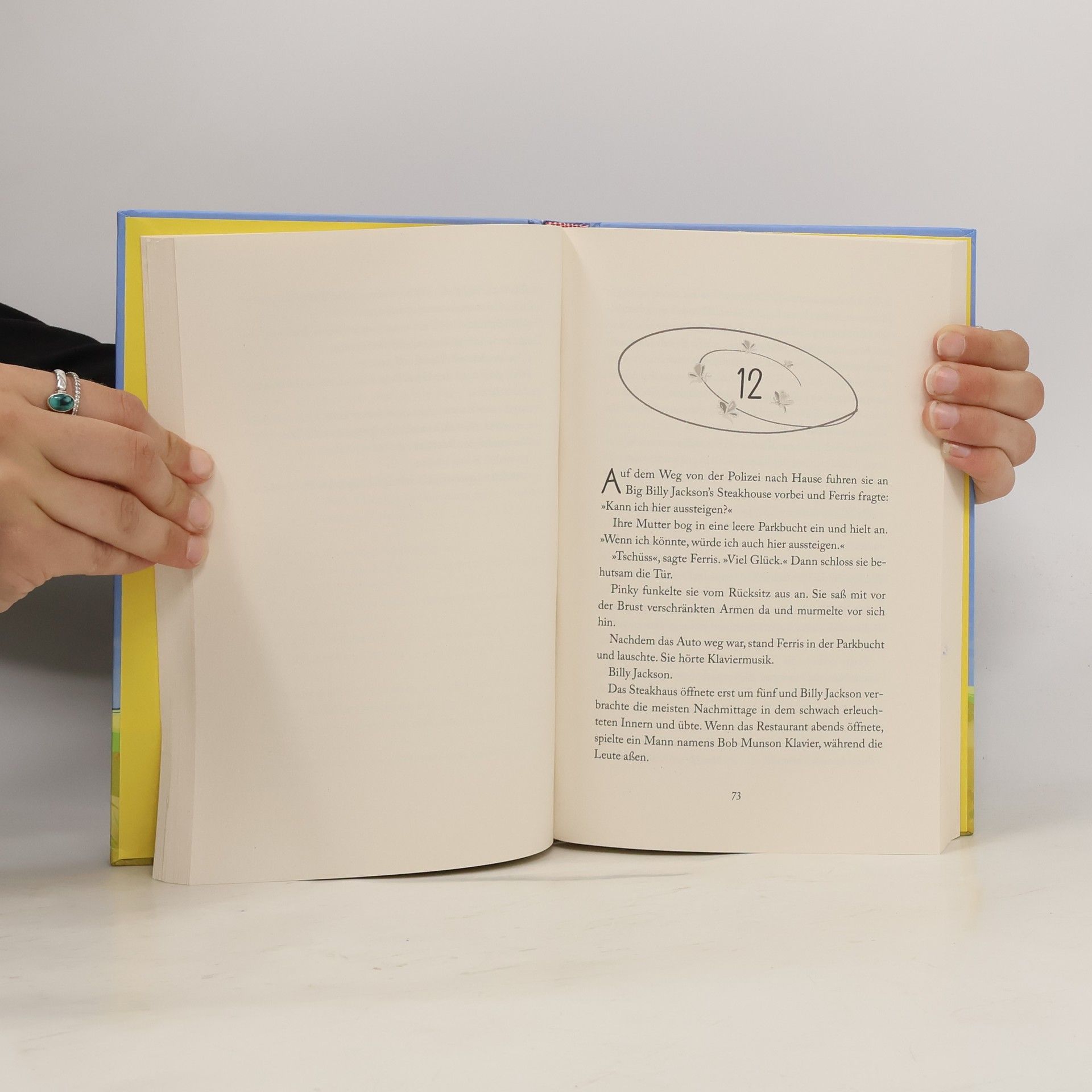 Kate DiCamillo Der Sommer der unmöglichen Dinge