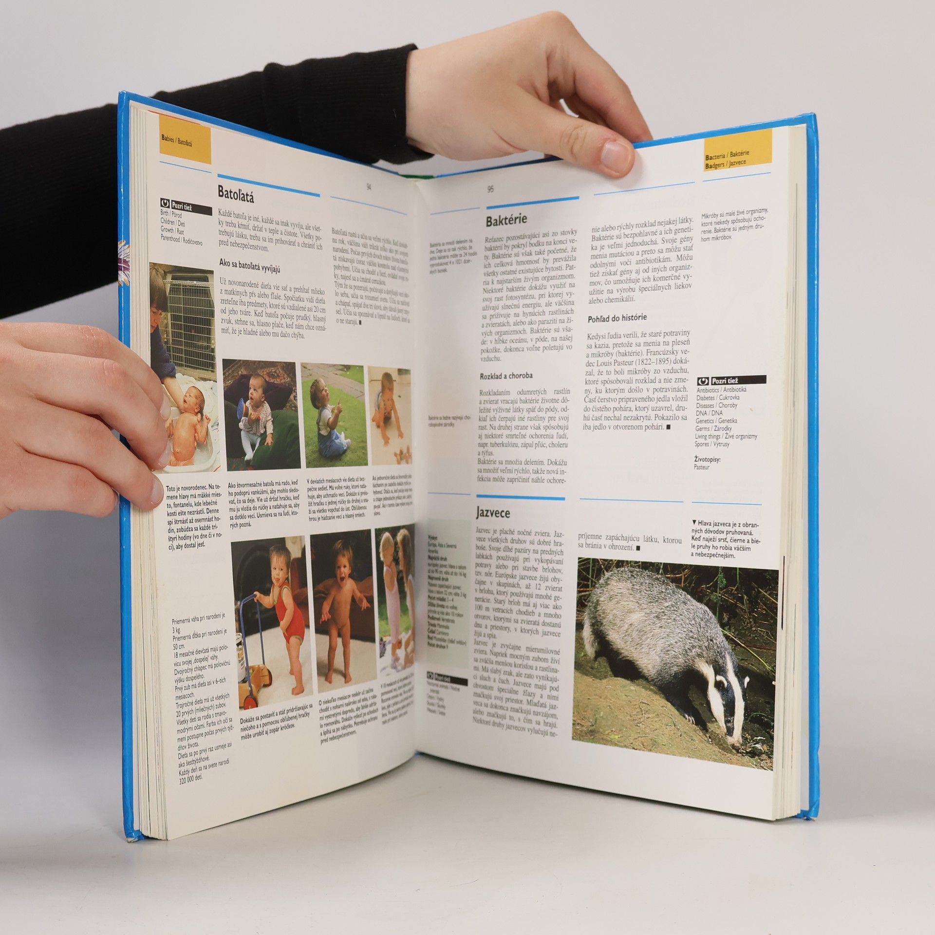 Autorenkollektiv Oxfordská školská encyklopédia. Prvý diel