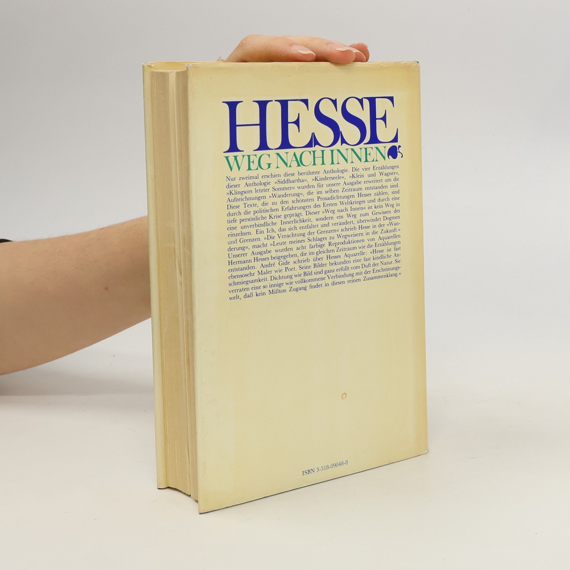 Hermann Hesse Weg nach innen