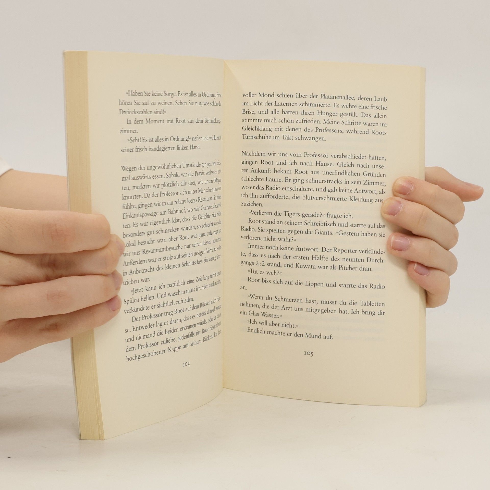 Yōko Ogawa Das Geheimnis der Eulerschen Formel