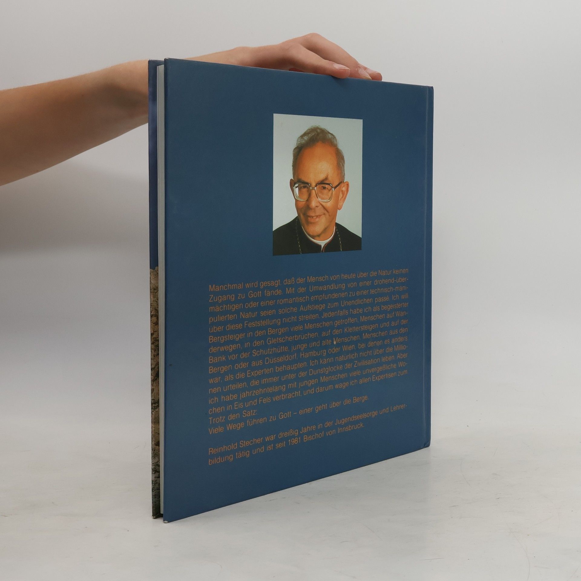 Reinhold Stecher Botschaft der Berge