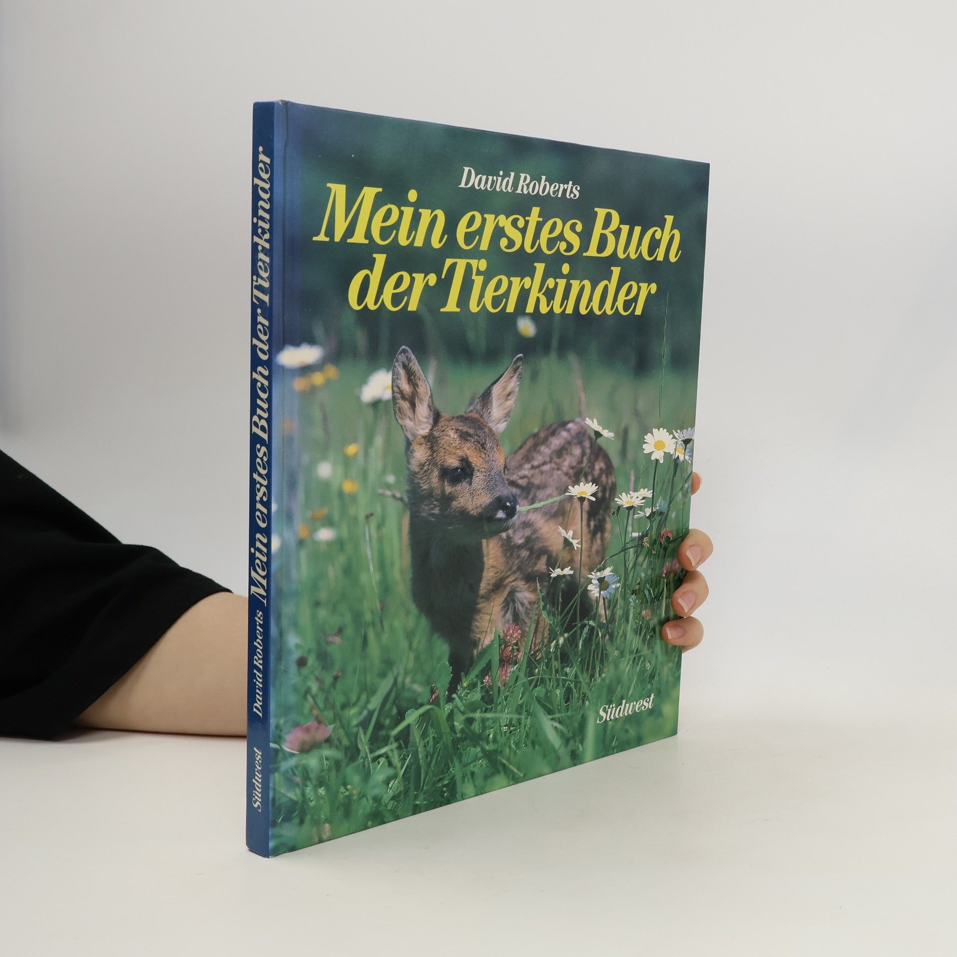 David Roberts Mein erstes Buch der Tierkinder