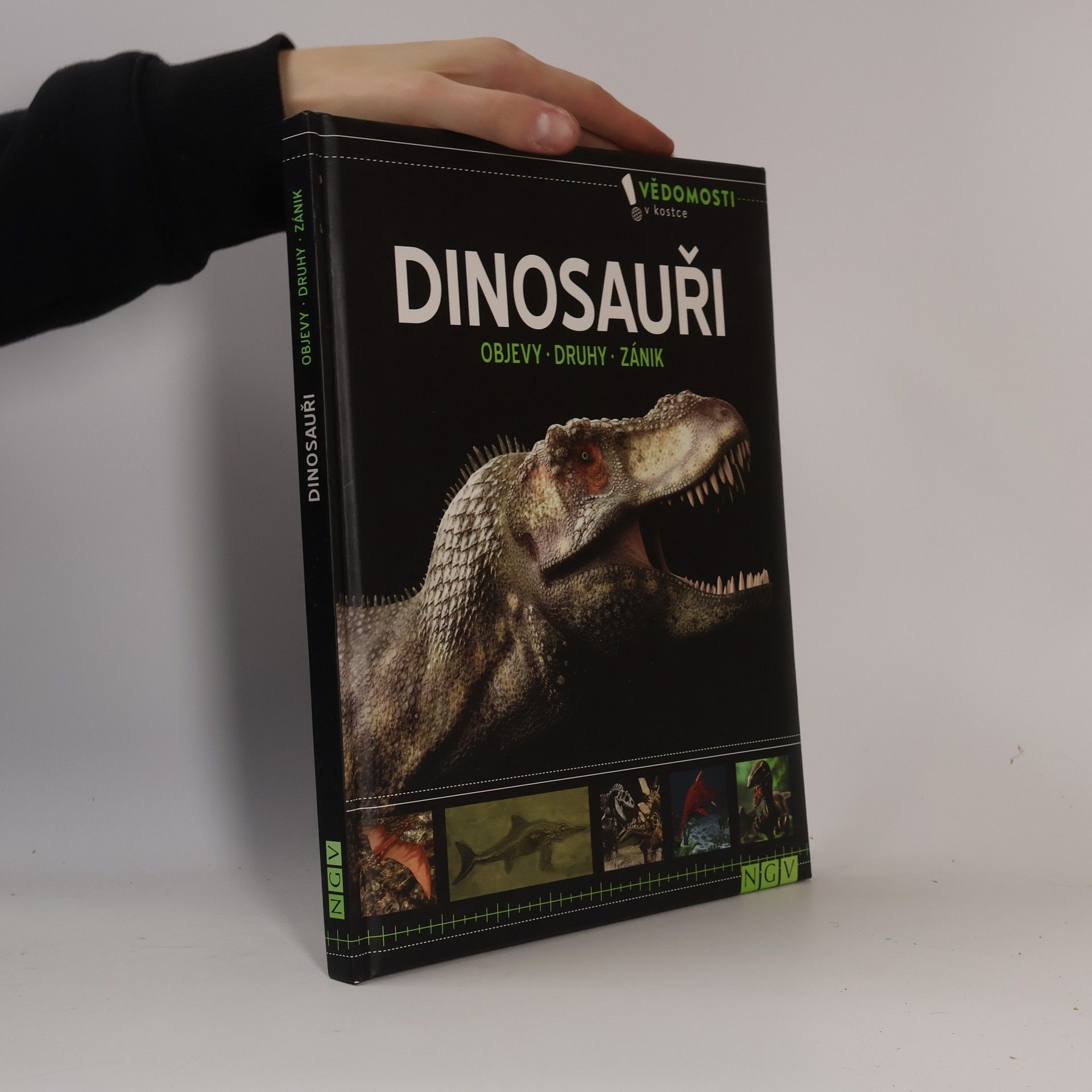 Kolektív autorov Dinosauři