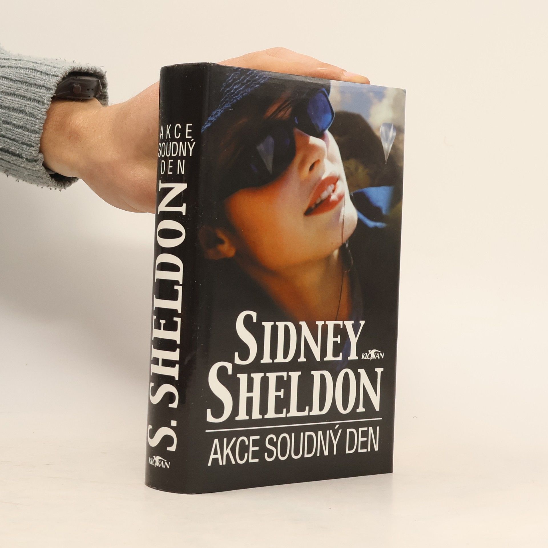 Sidney Sheldon Akce Soudný den
