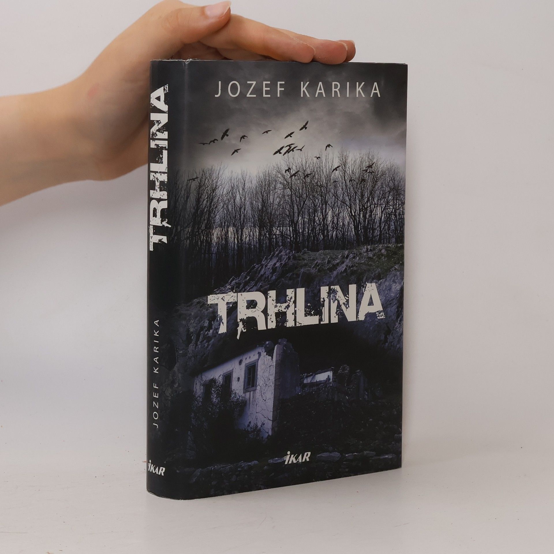 Jozef Karika Trhlina