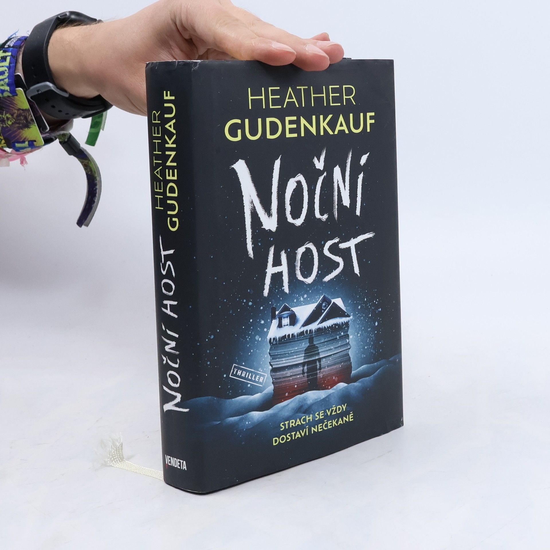 Heather Gudenkauf Noční host