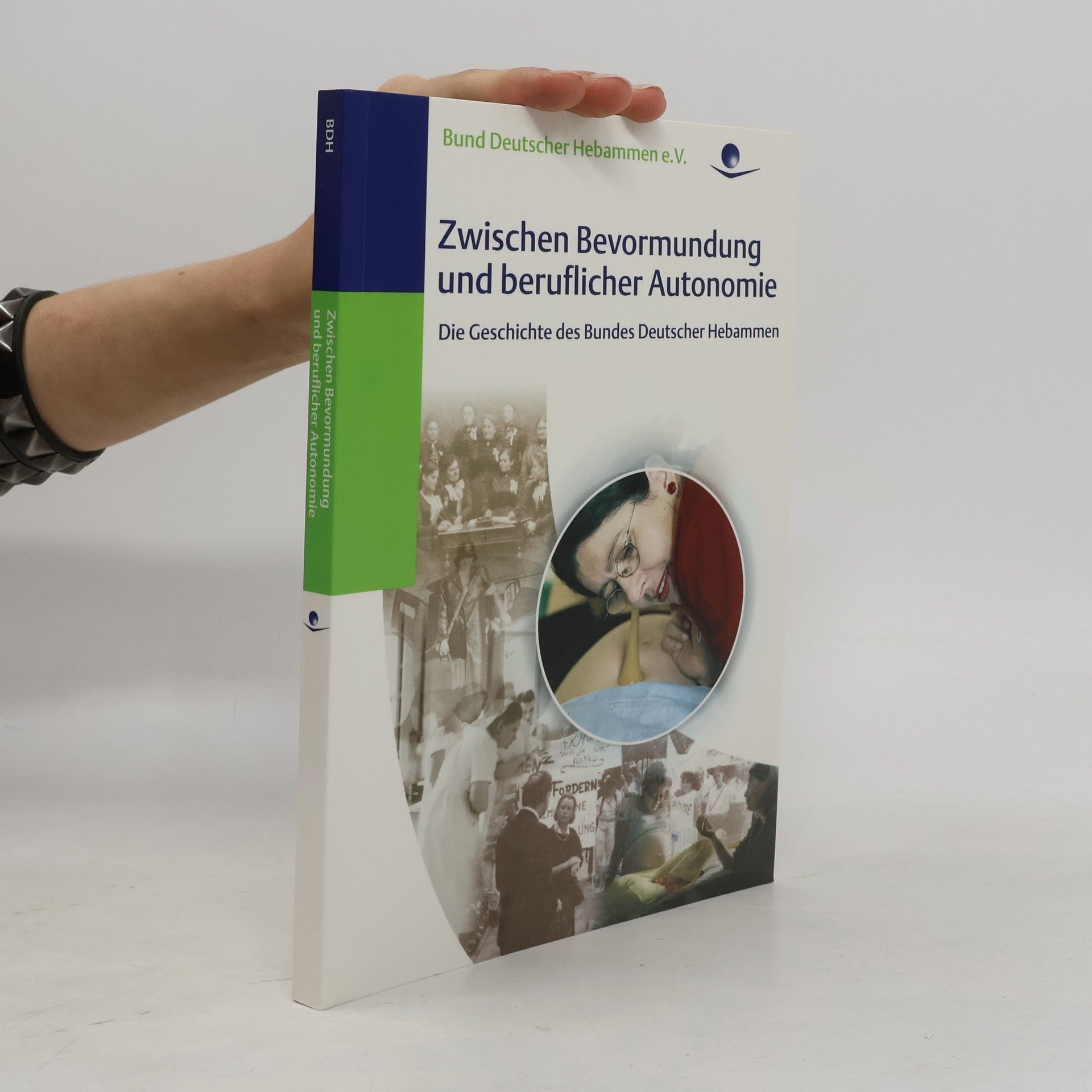 Brigitte Borrmann Zwischen Bevormundung und beruflicher Autonomie