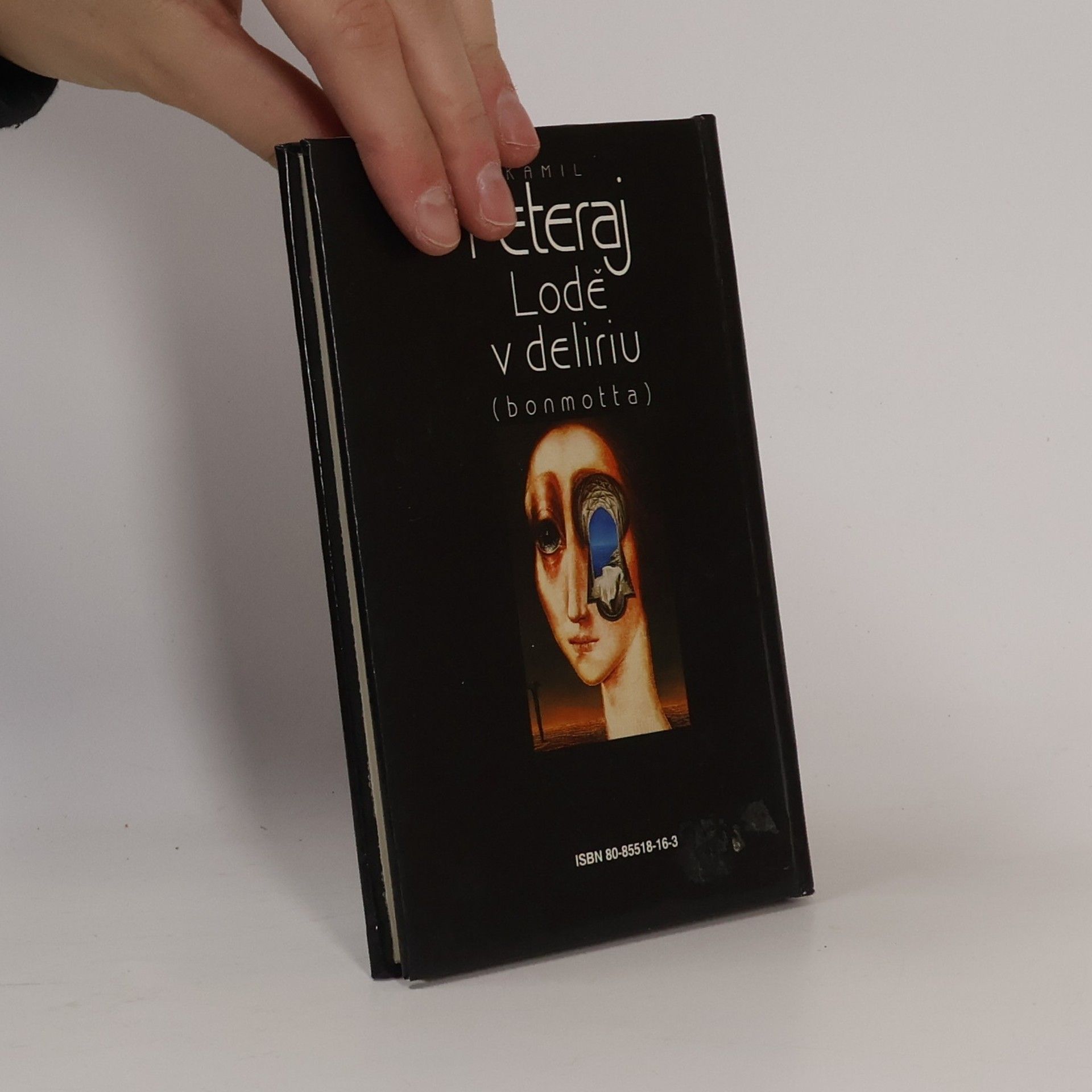 Kamil Peteraj Lodě v deliriu (Bonmotta)