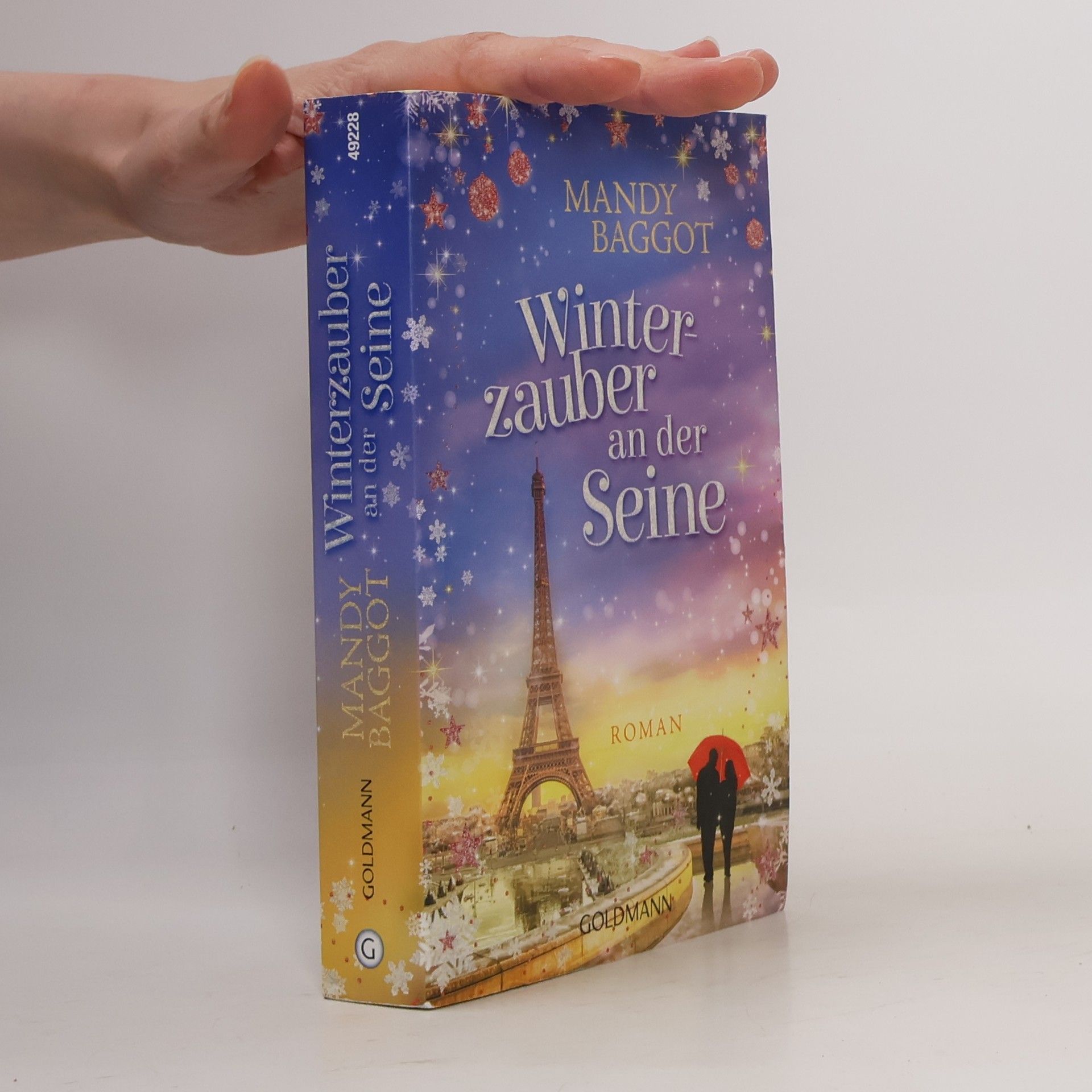 Mandy Baggot Winterzauber an der Seine