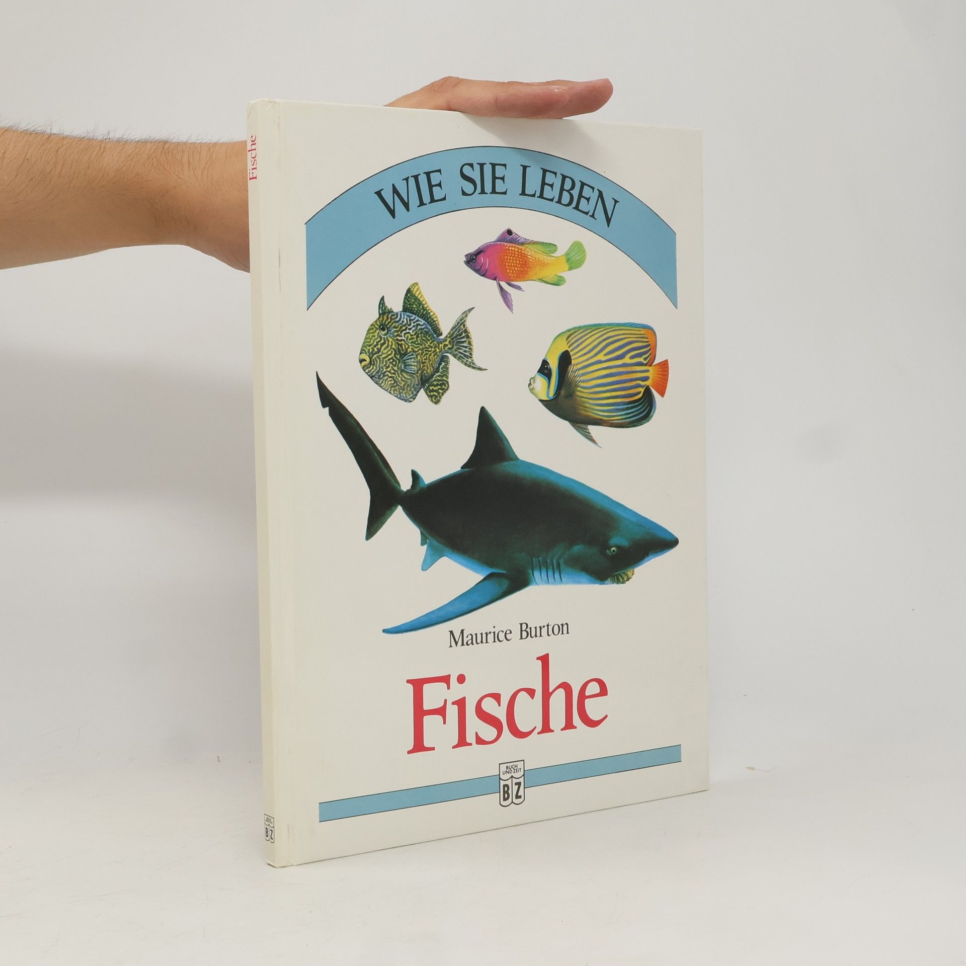 Maurice Burton Fische