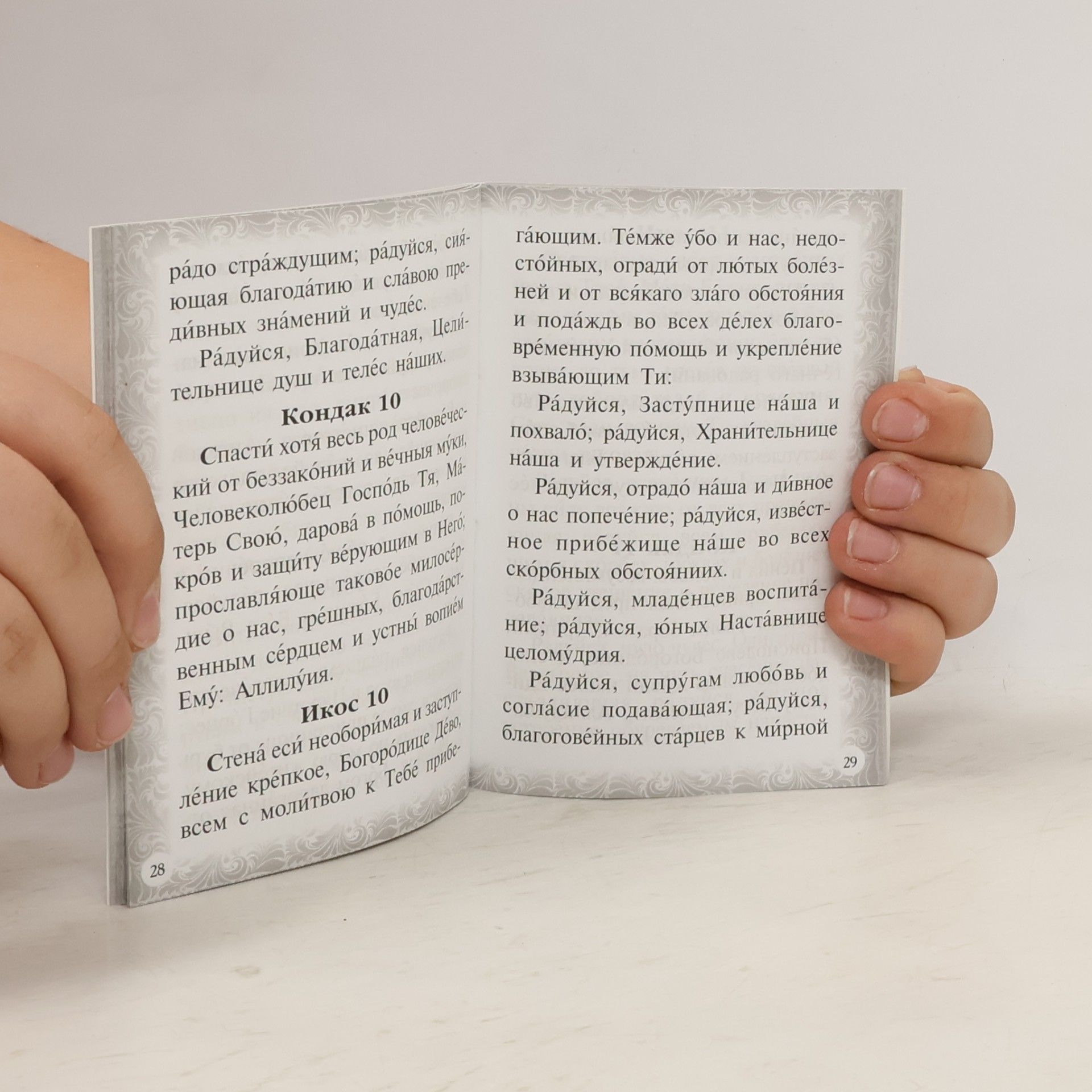 Autores varios Акафист «Целительница»