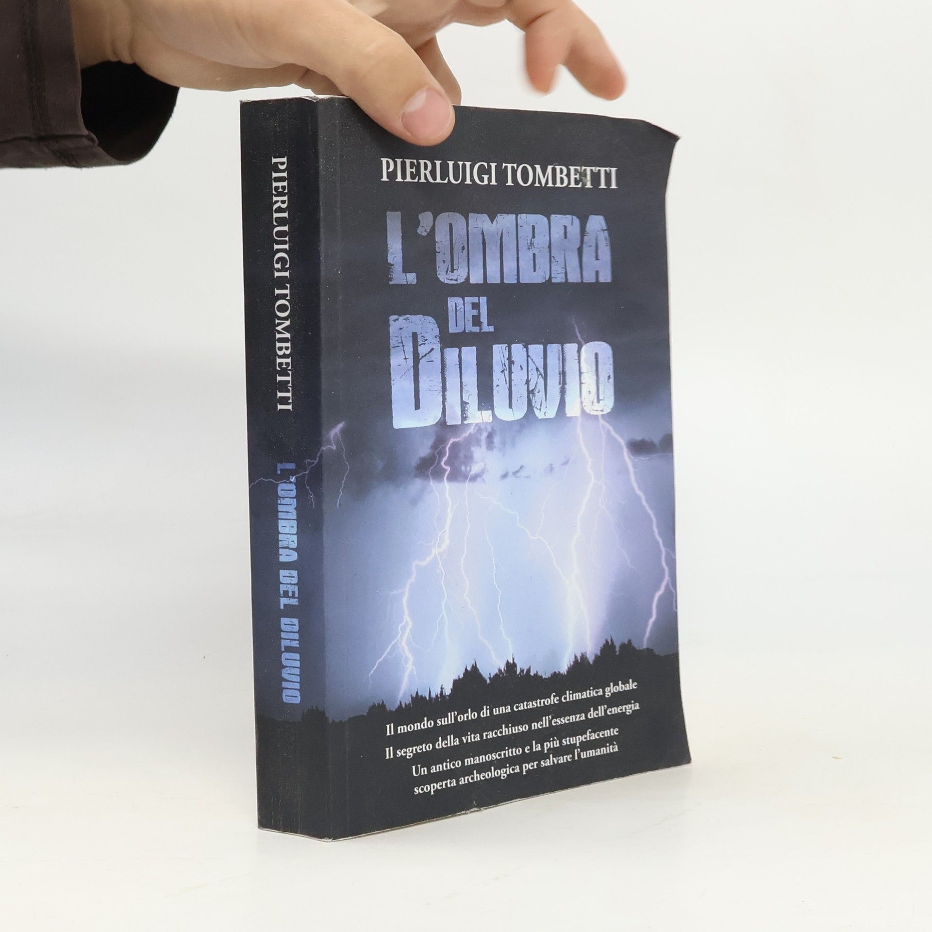 Pierluigi Tombetti L'Ombra del Diluvio