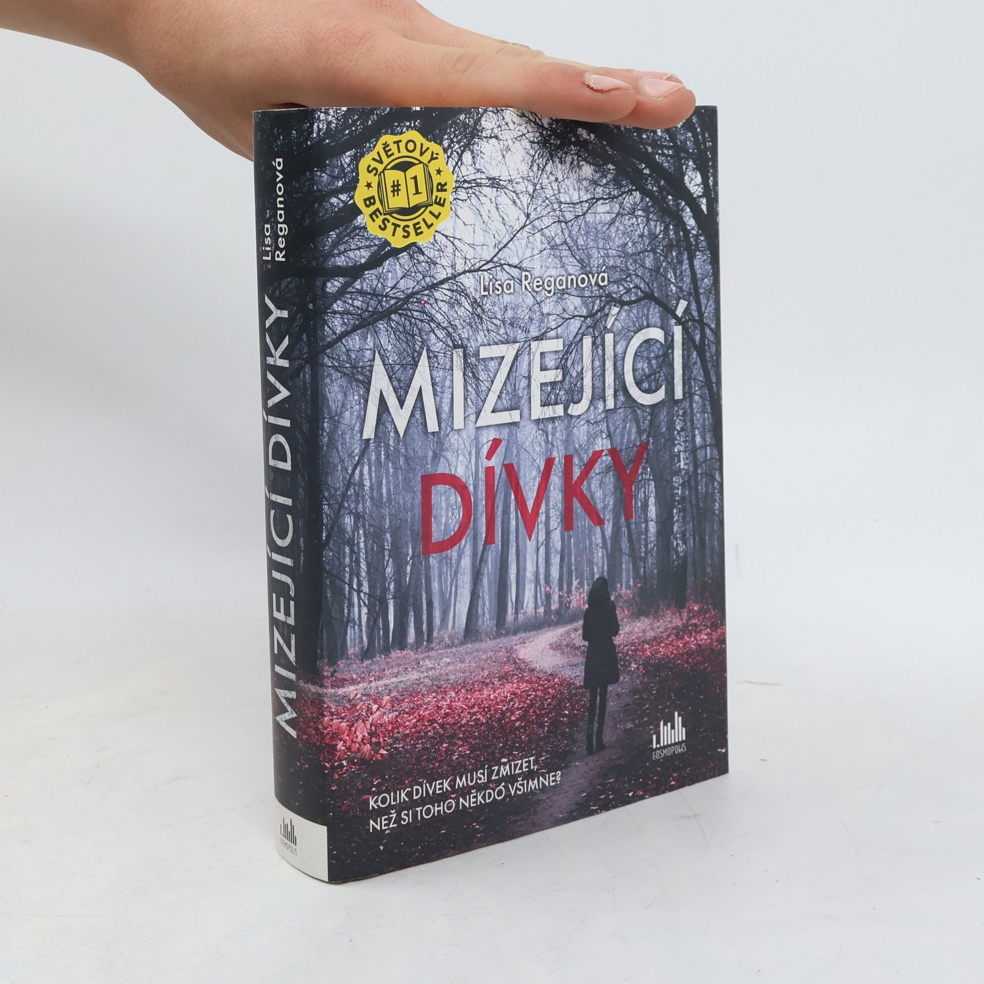 Mizející dívky