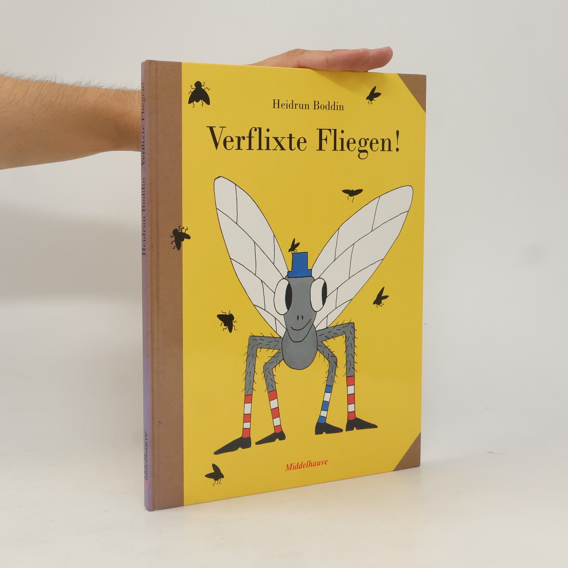Heidrun Boddin Verflixte Fliegen!