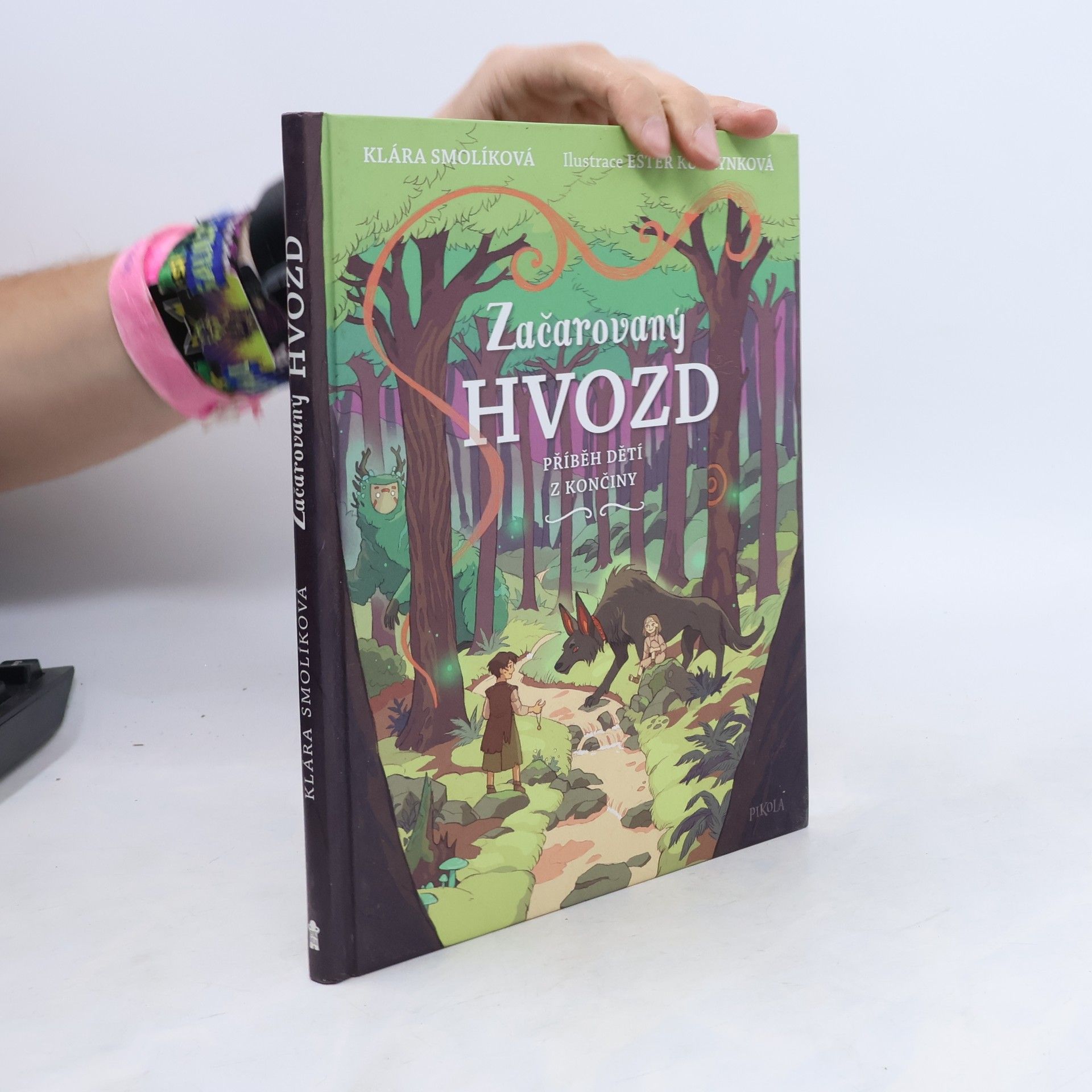 Klára Smolíková Začarovaný Hvozd - Příběh dětí z Končiny