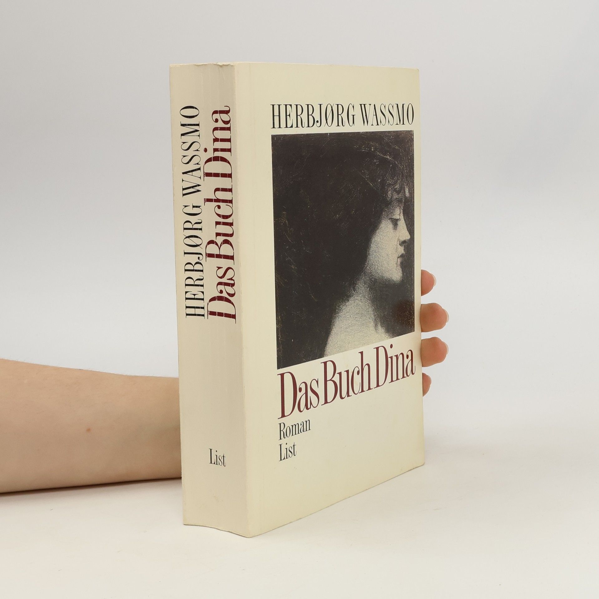 Herbjørg Wassmo Das Buch Dina