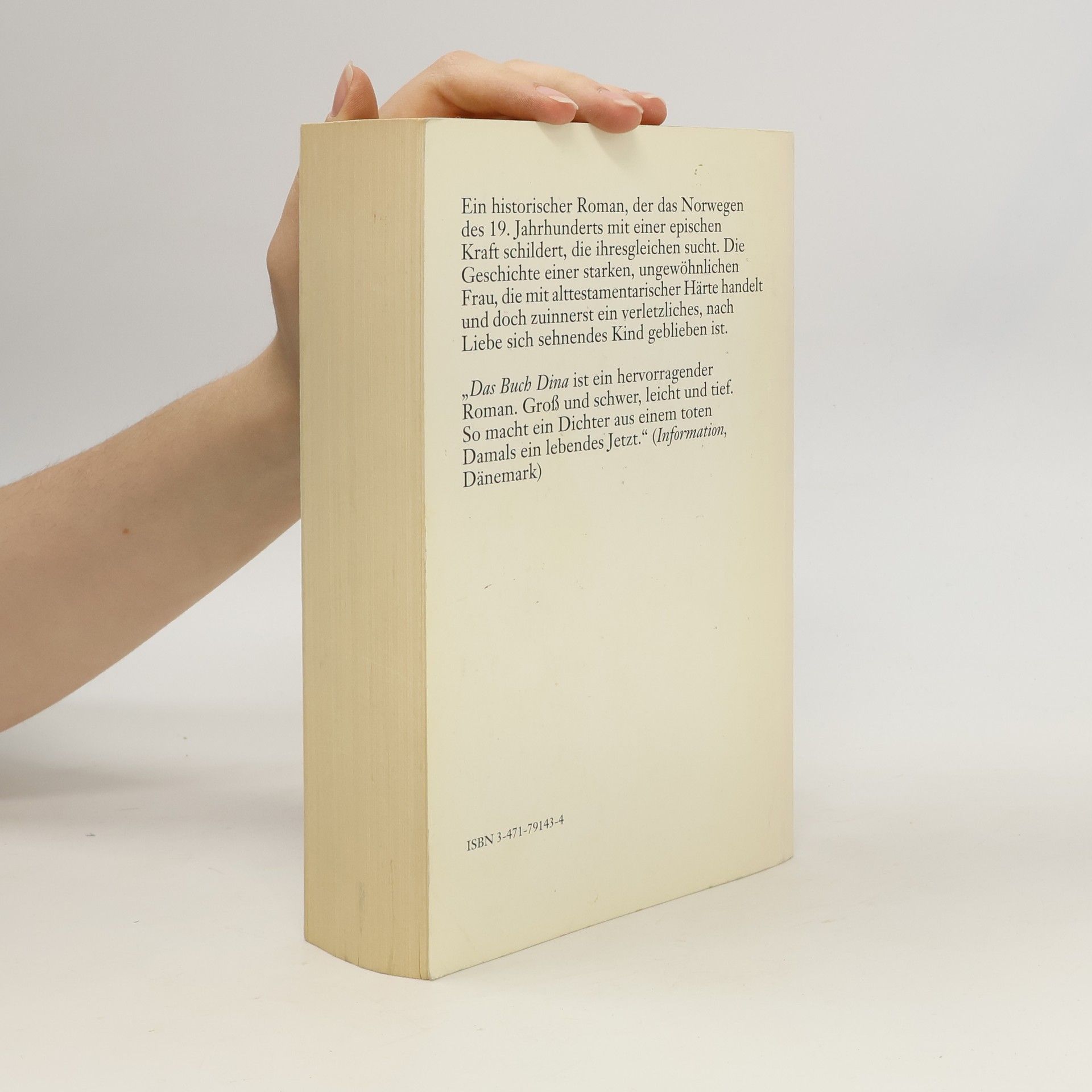 Herbjørg Wassmo Das Buch Dina