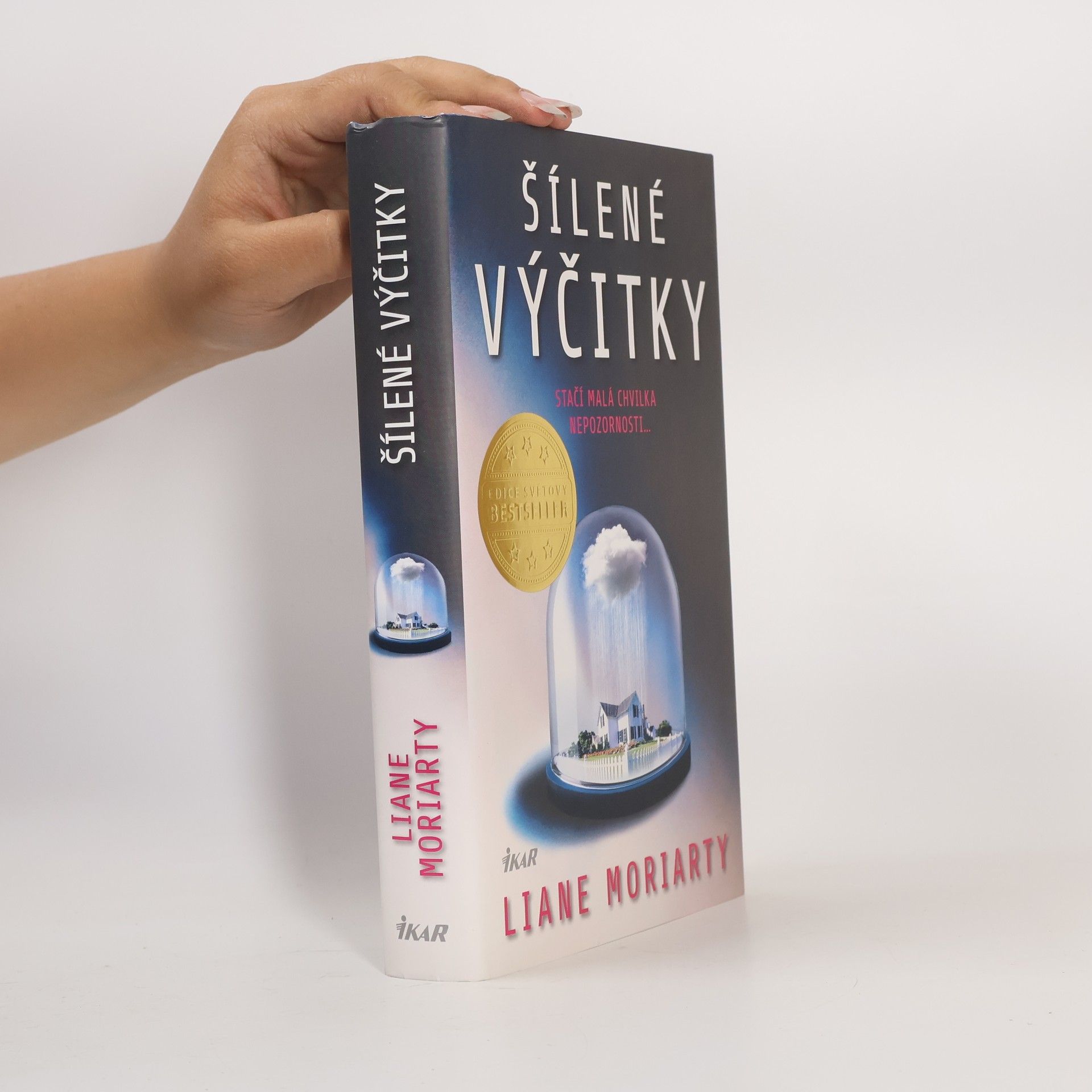 Liane Moriarty Šílené výčitky