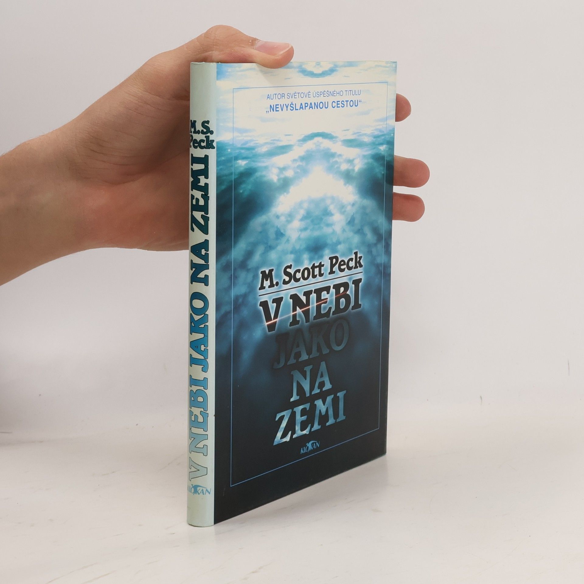 Irena Palová V nebi jako na zemi
