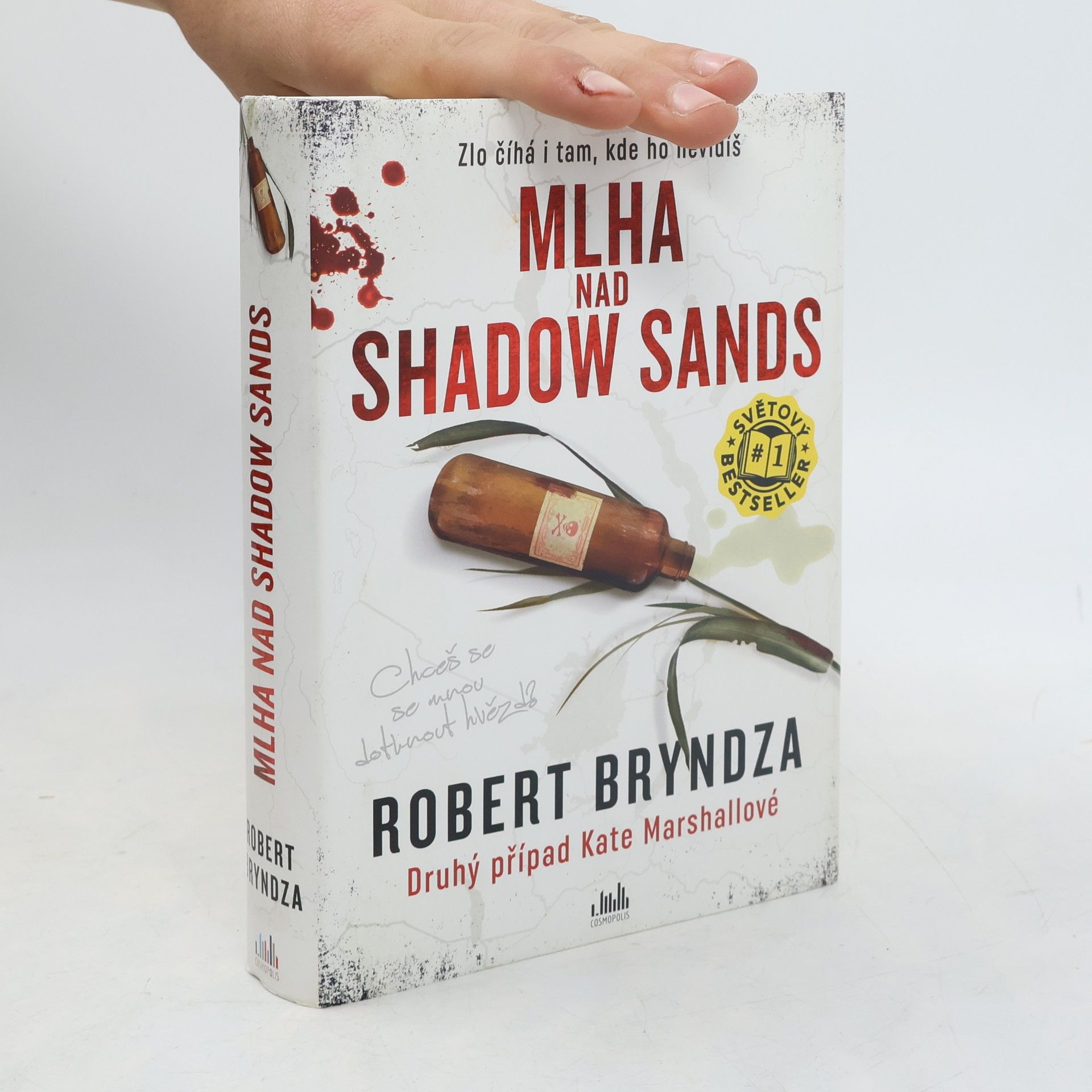 Robert Bryndza Mlha nad Shadow Sands