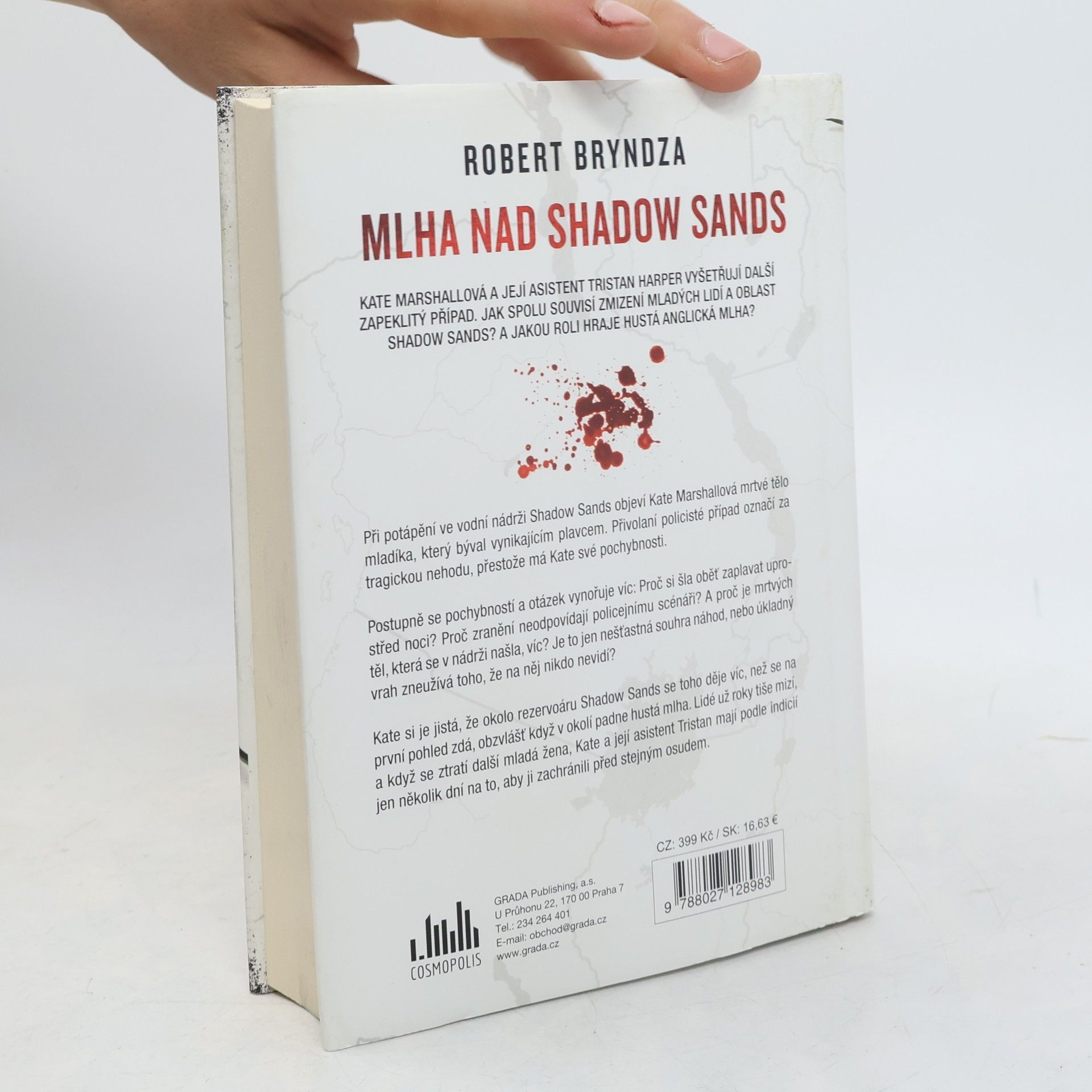 Robert Bryndza Mlha nad Shadow Sands