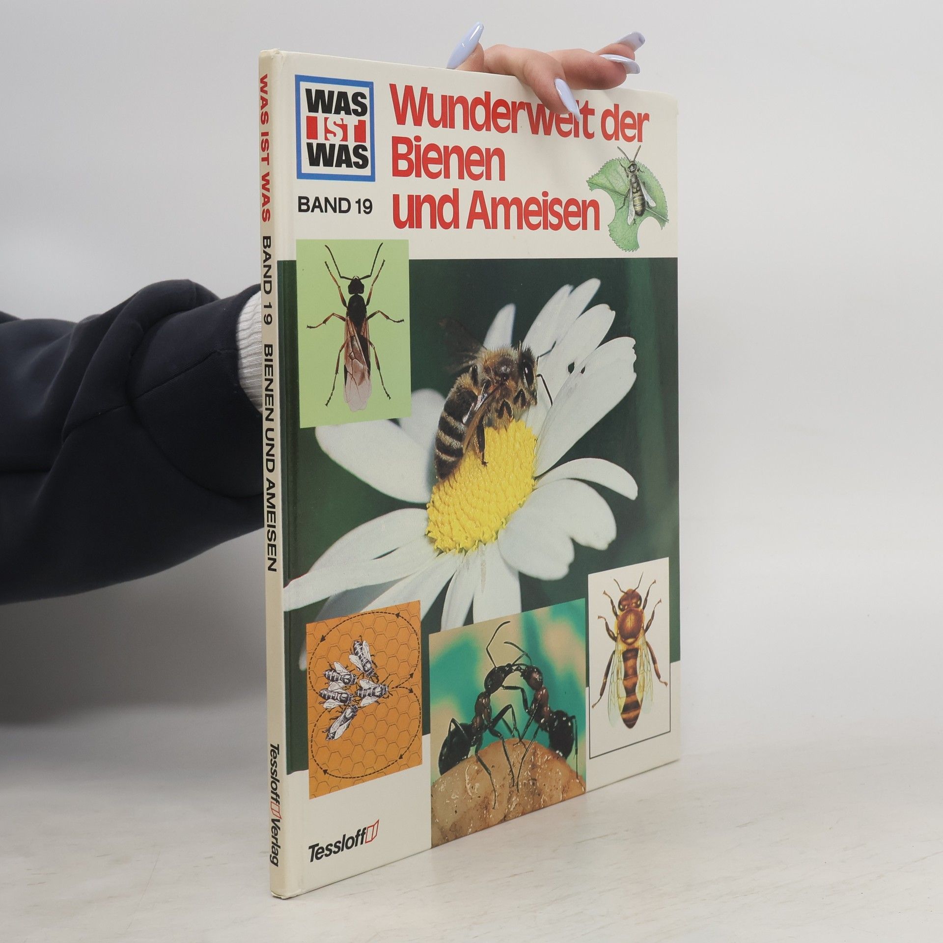 Ronald N. Rood Bienen und Ameisen