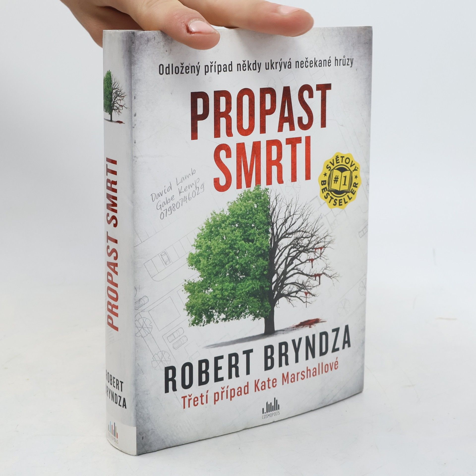 Robert Bryndza Propast smrti