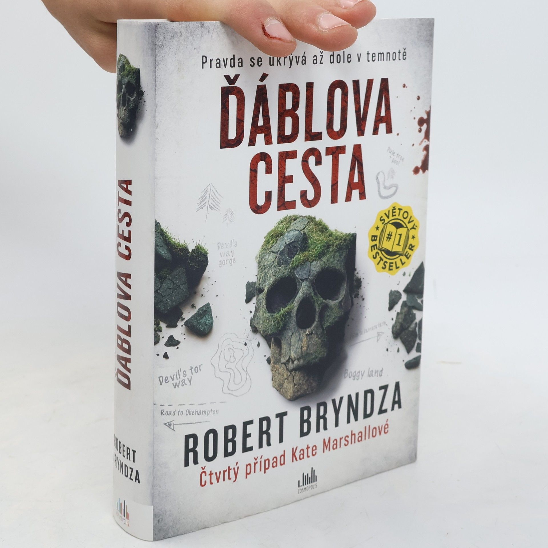 Robert Bryndza Ďáblova cesta