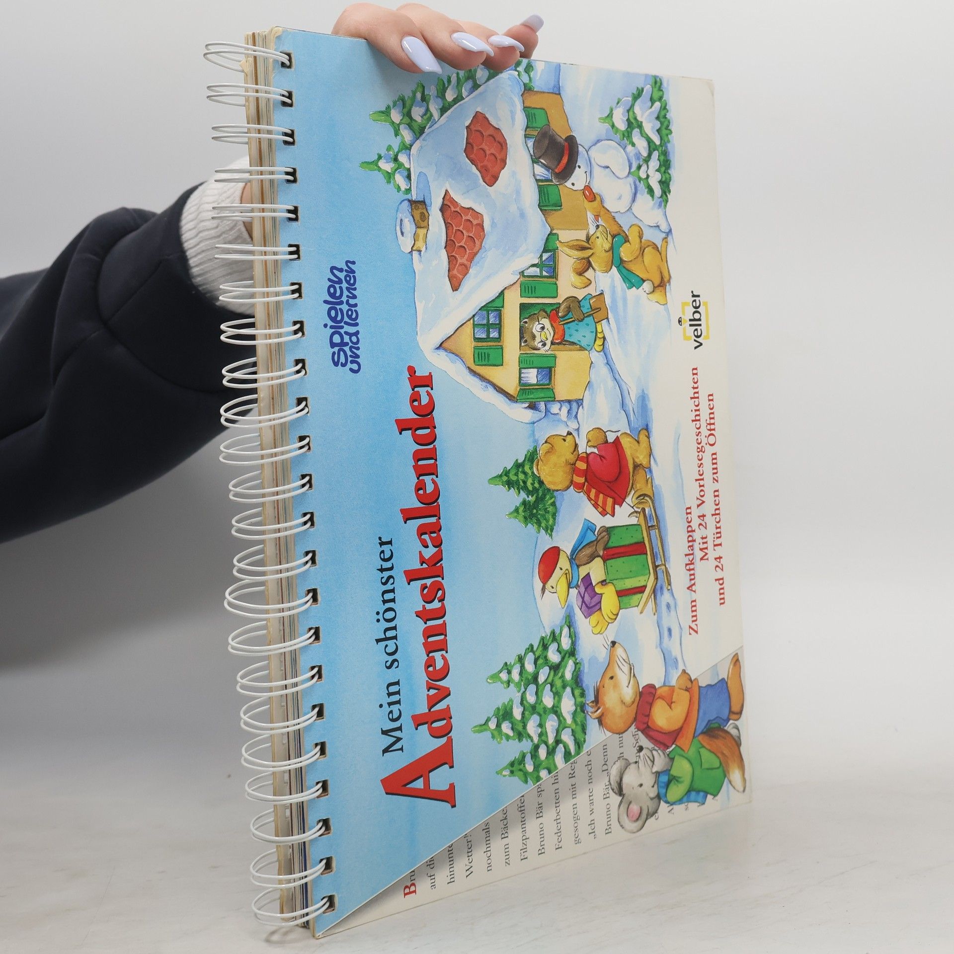 Autorenkollektiv Mein schönster Adventskalender