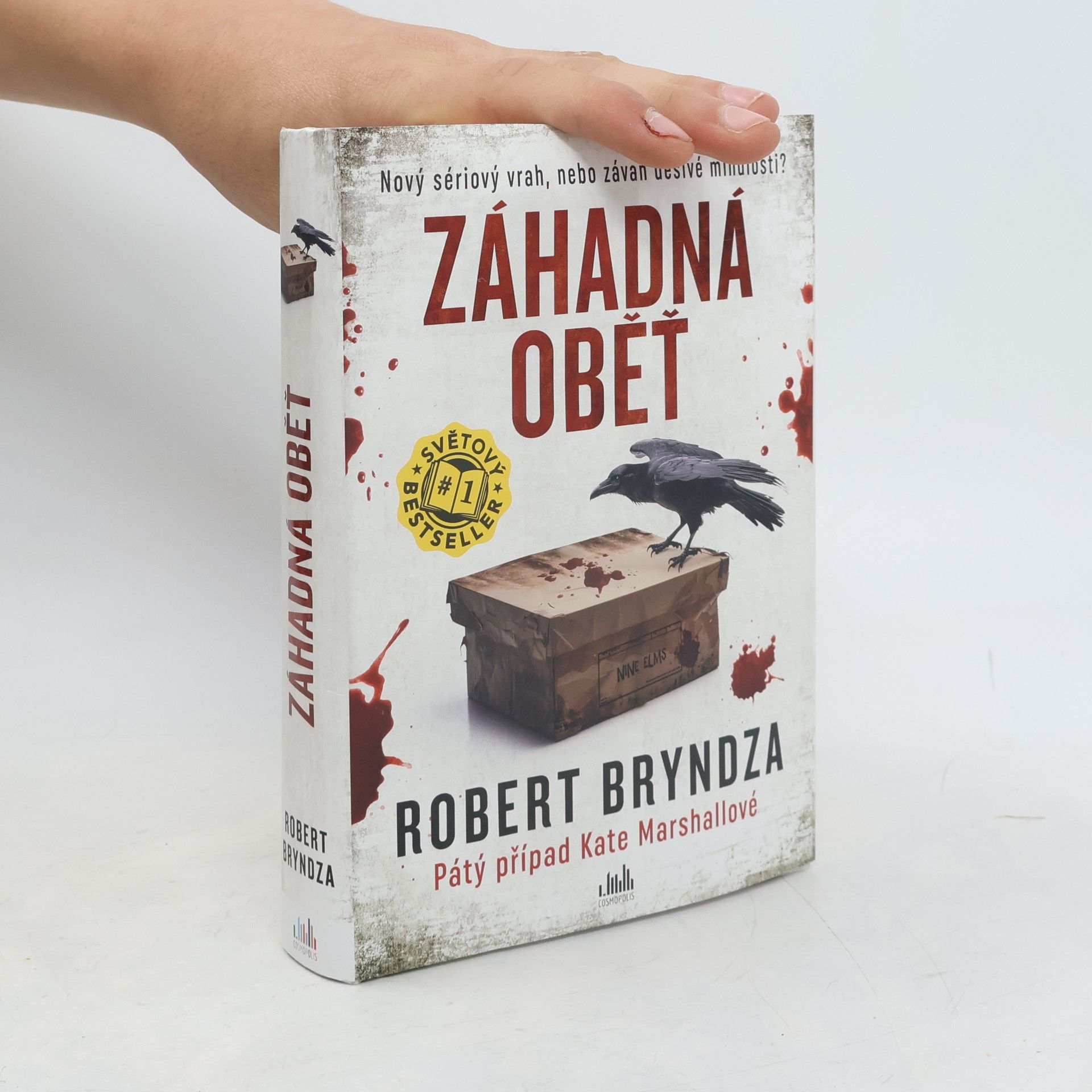 Robert Bryndza Záhadná oběť